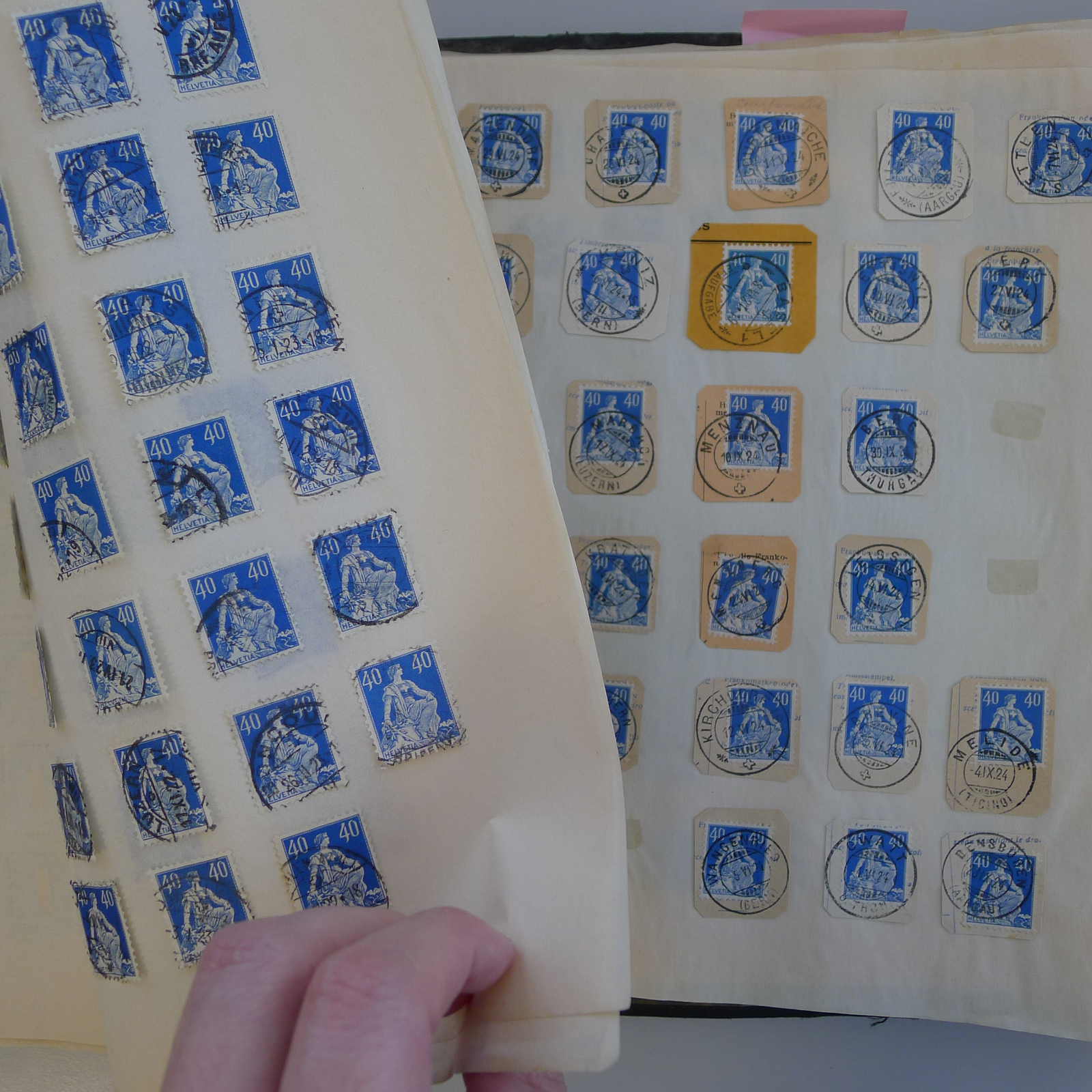 Image 31 for lot number 0004103465 for Luzernerraute Webshop 