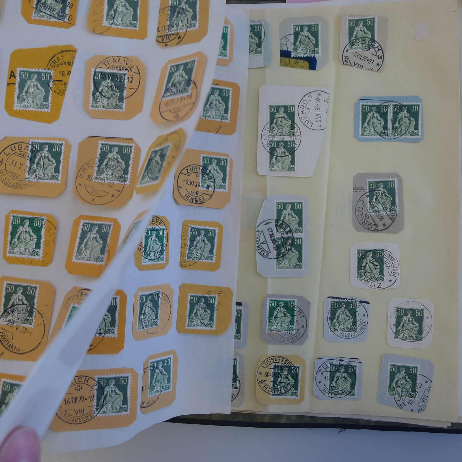 Image 33 for lot number 0004103465 for Luzernerraute Webshop 