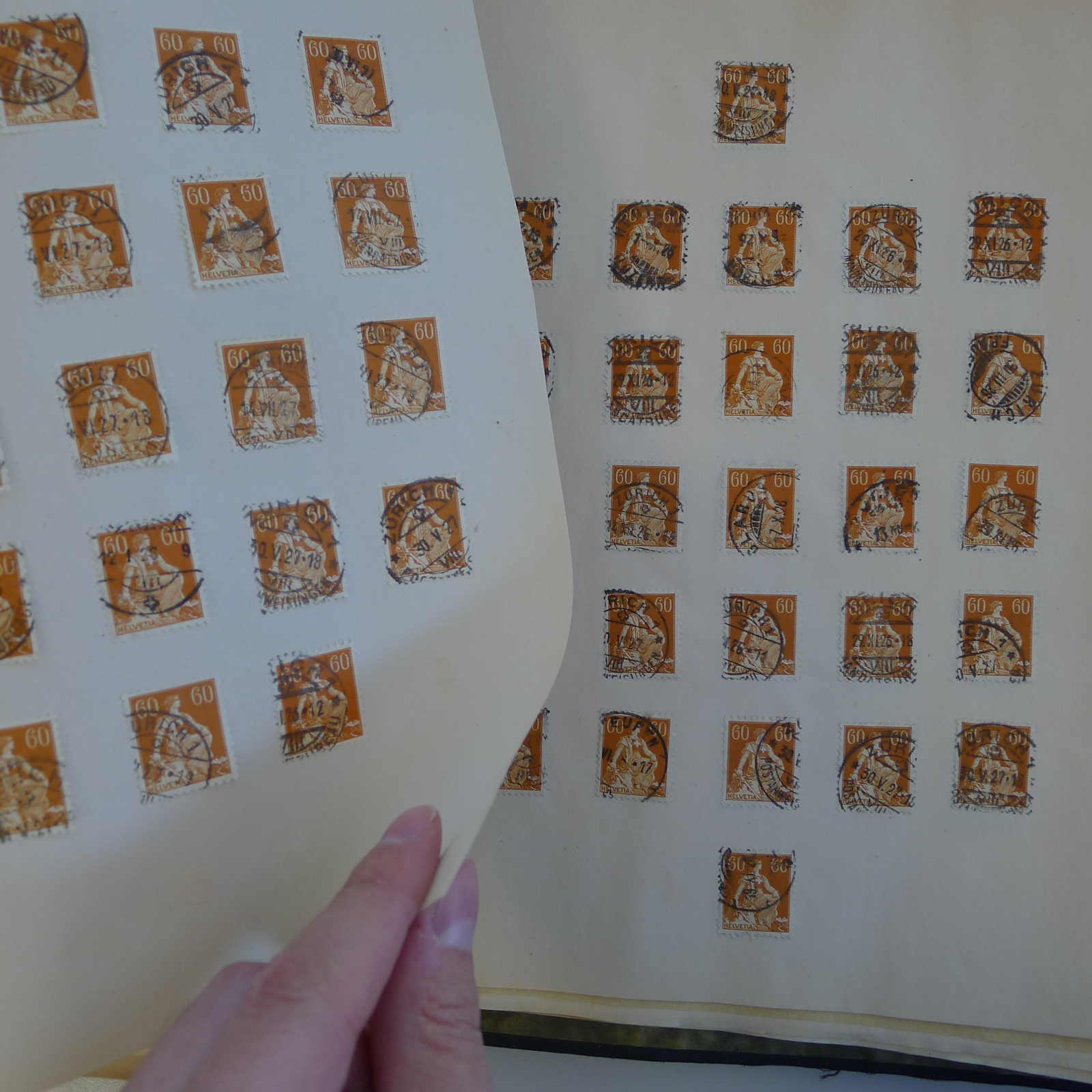 Image 34 for lot number 0004103465 for Luzernerraute Webshop 