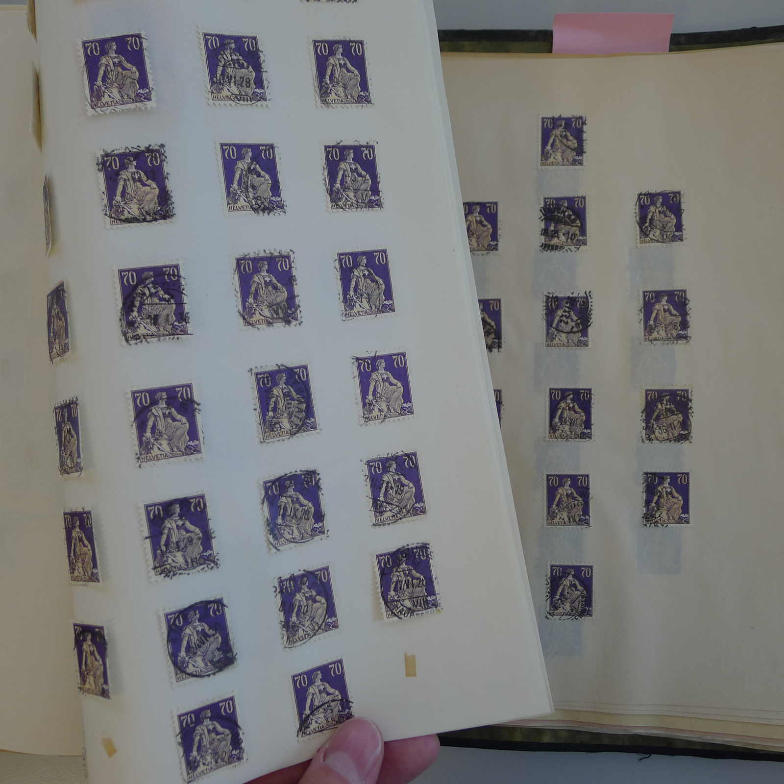 Image 35 for lot number 0004103465 for Luzernerraute Webshop 