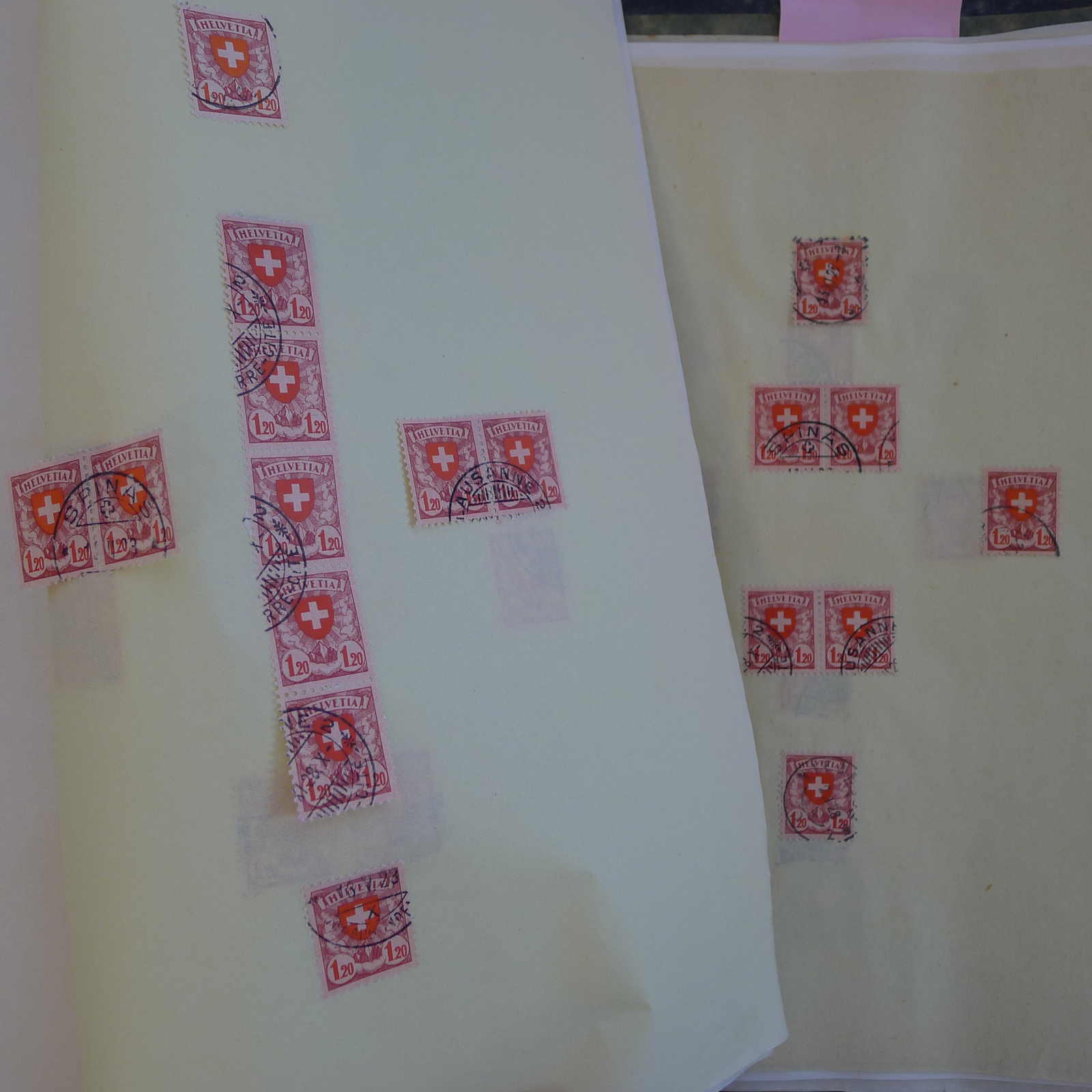 Image 38 for lot number 0004103465 for Luzernerraute Webshop 