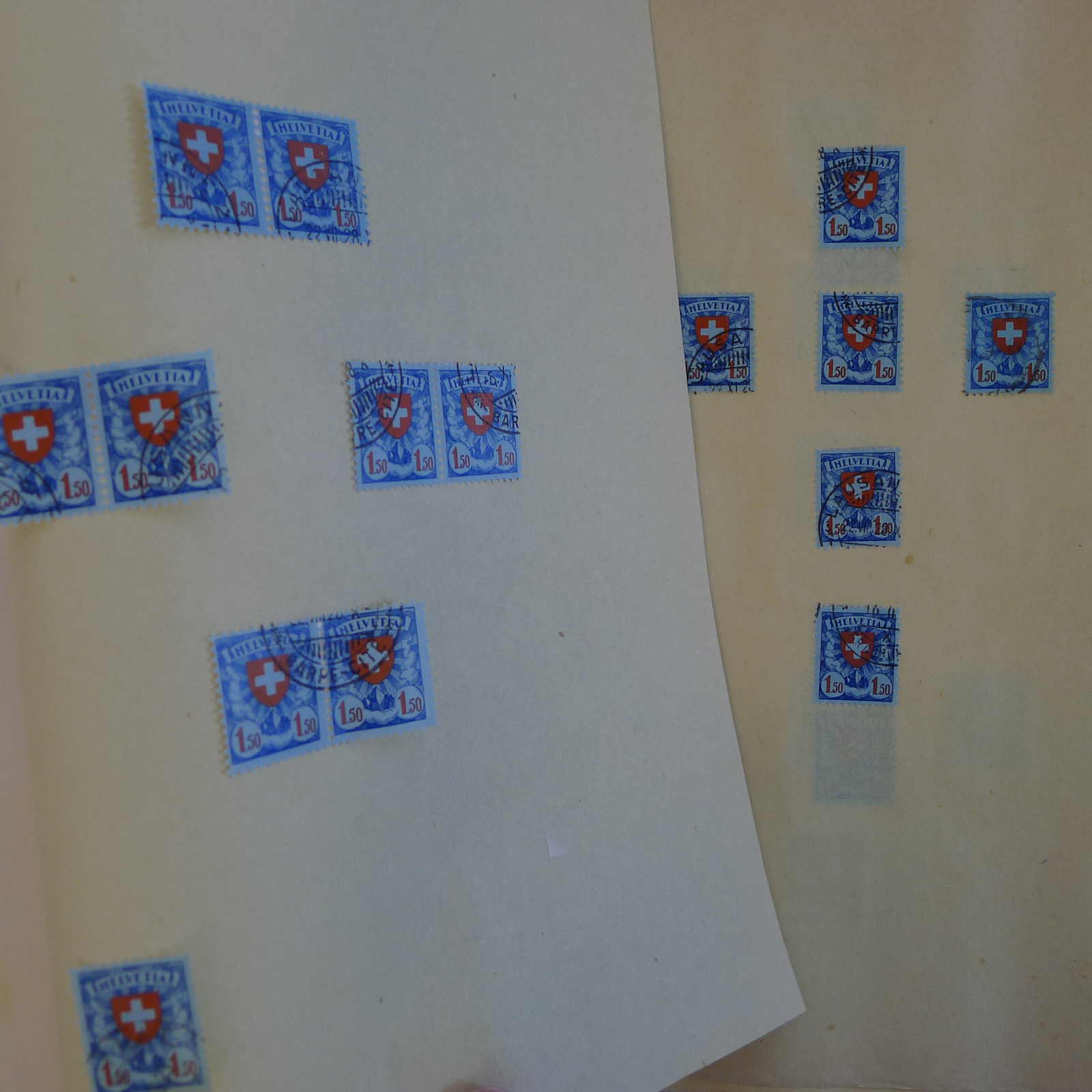 Image 39 for lot number 0004103465 for Luzernerraute Webshop 