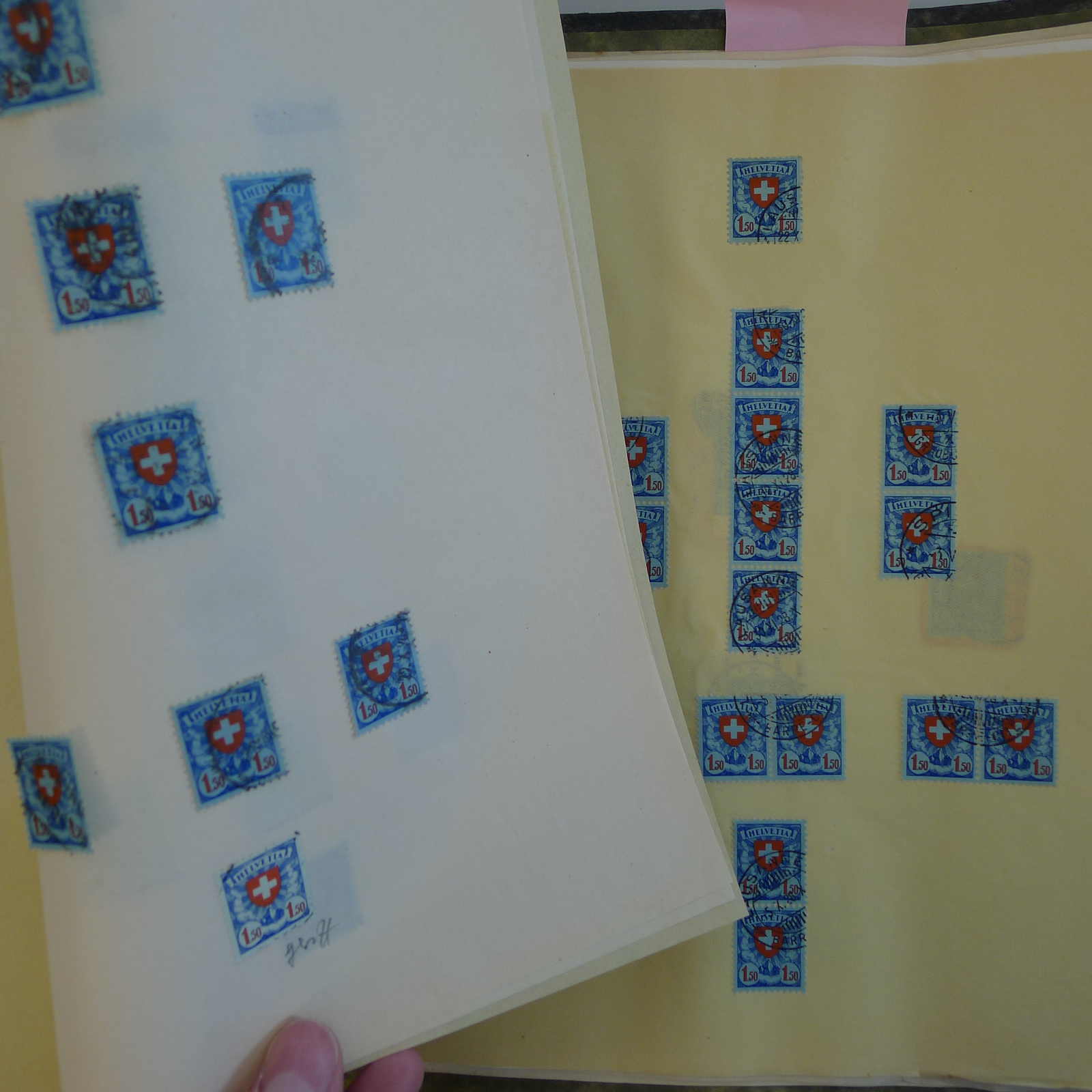 Image 40 for lot number 0004103465 for Luzernerraute Webshop 