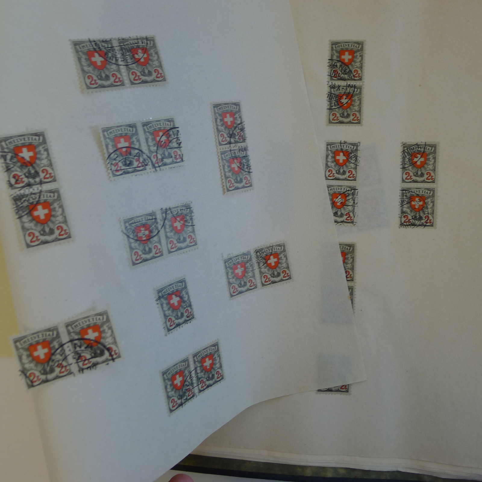 Image 41 for lot number 0004103465 for Luzernerraute Webshop 