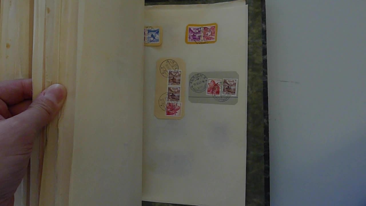 Image 44 for lot number 0004103465 for Luzernerraute Webshop 