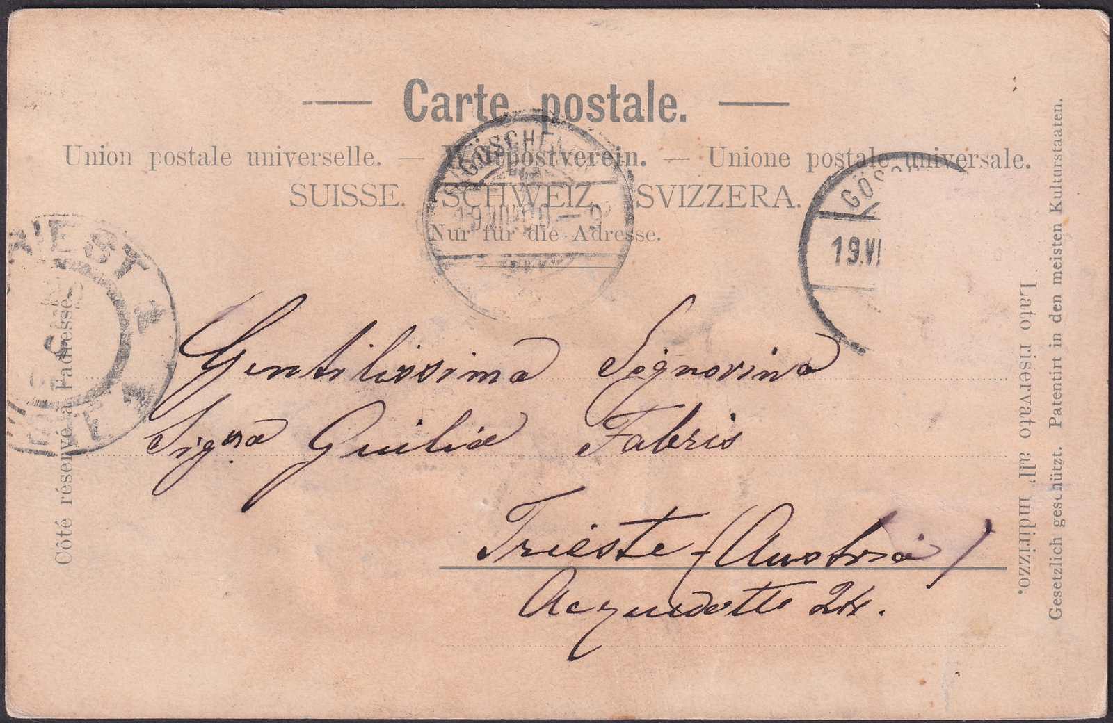 Image 1 for lot number 0004300685 for Luzernerraute Webshop 