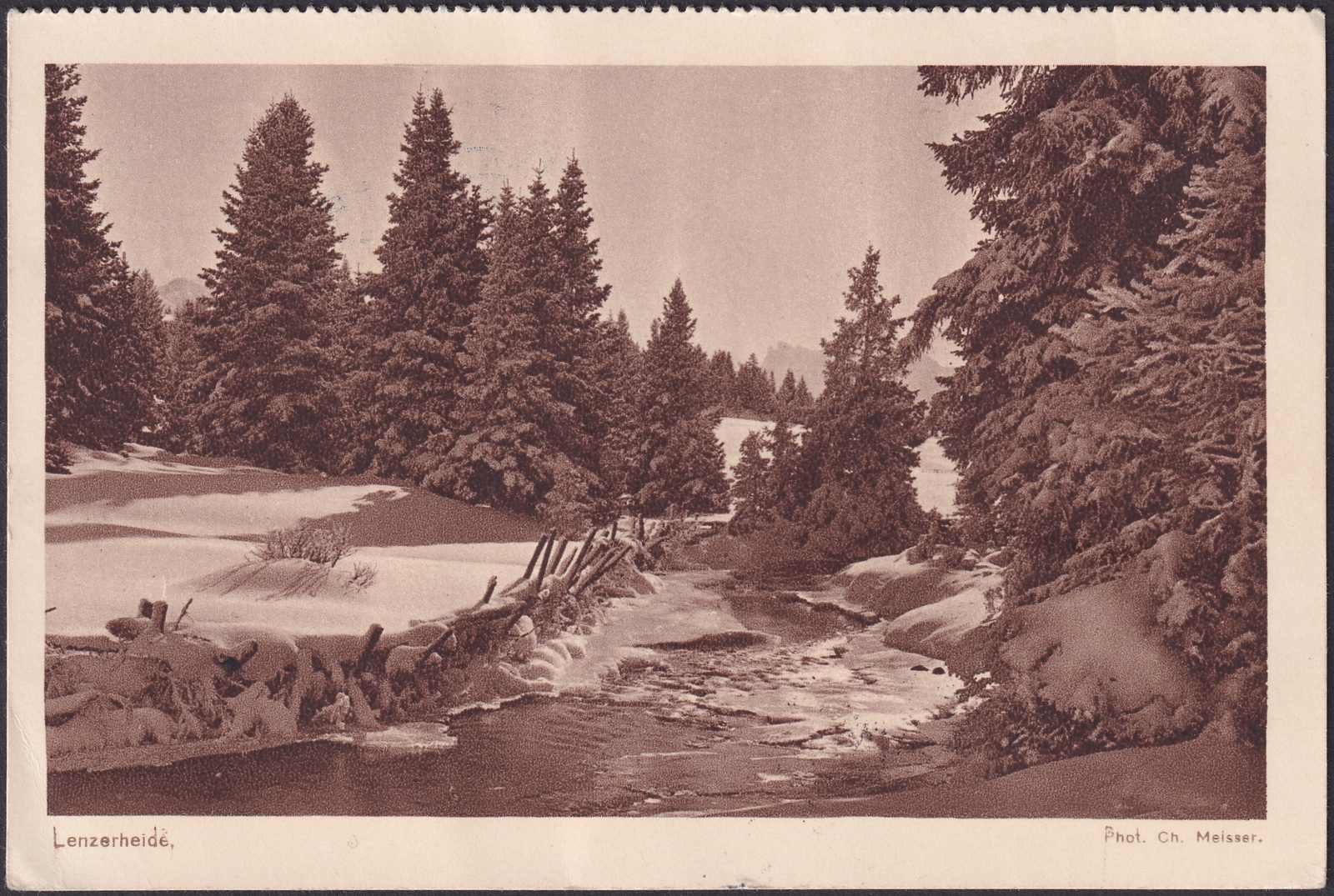 Image 2 for lot number 0004303457 for Luzernerraute Webshop 