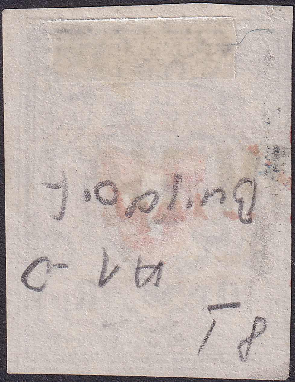 Image 2 for lot number 0004304986 for Luzernerraute Webshop 