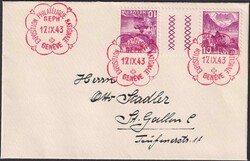 5655155: スイス・ガッターペア - Unit with gutter