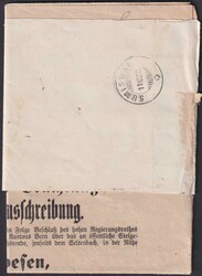 STREIFBAND von ZOLLBRÜCK 1880 nach TRACHSELWALD, Nr.37+38 auf ...