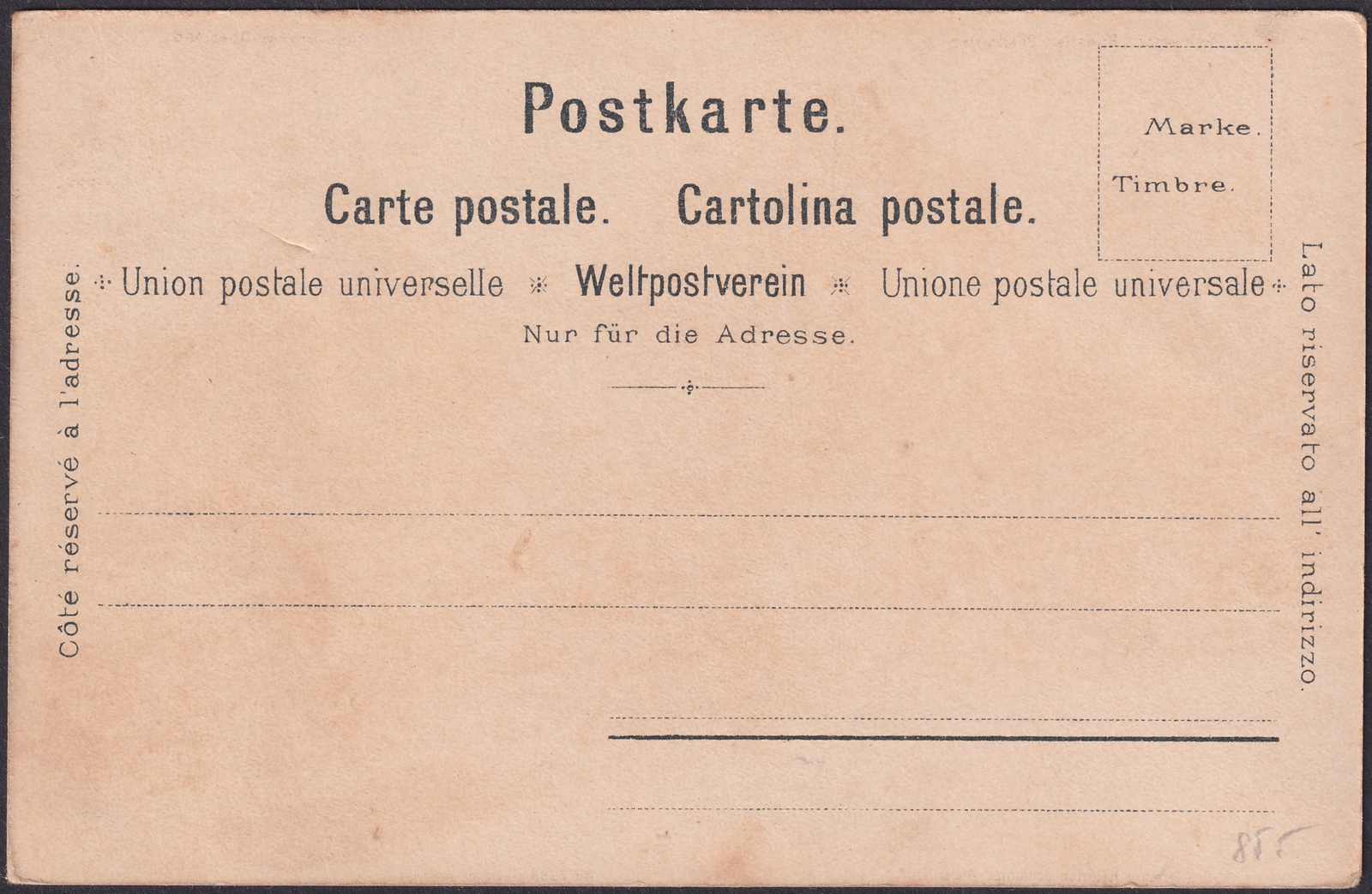 Image 1 for lot number 0004400183 for Luzernerraute Webshop 