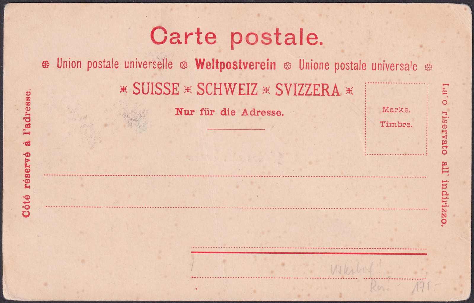 Image 1 for lot number 0004400207 for Luzernerraute Webshop 