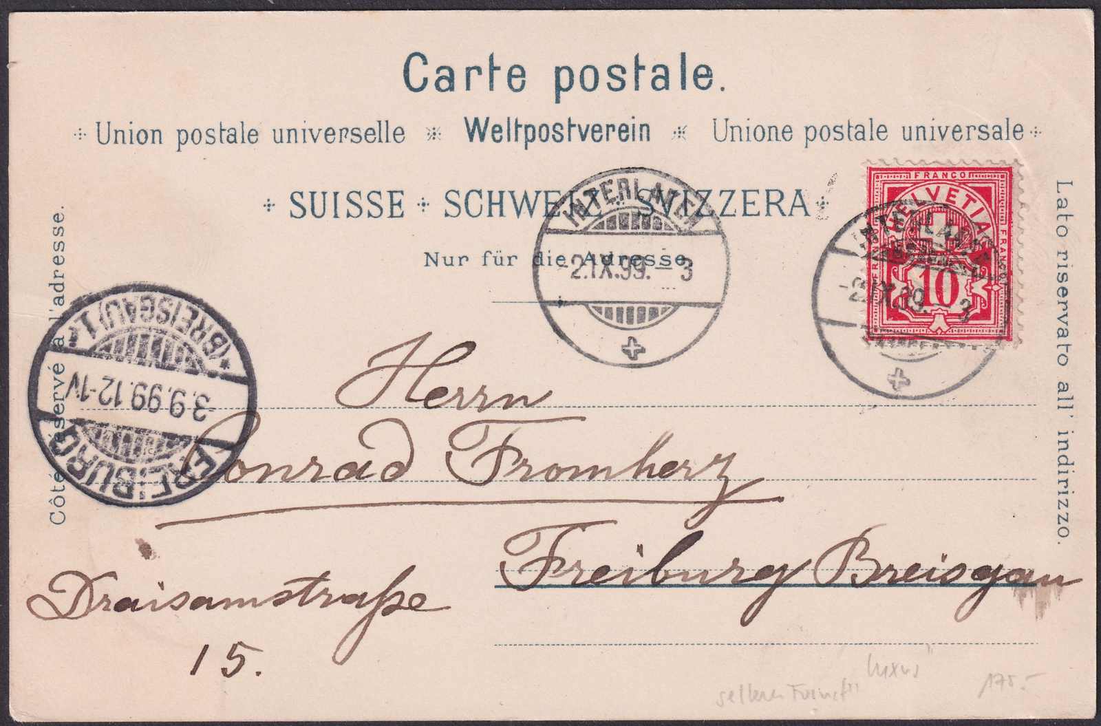 Image 1 for lot number 0004400223 for Luzernerraute Webshop 