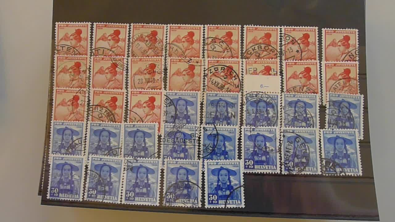 Image 3 for lot number 0004400305 for Luzernerraute Webshop 