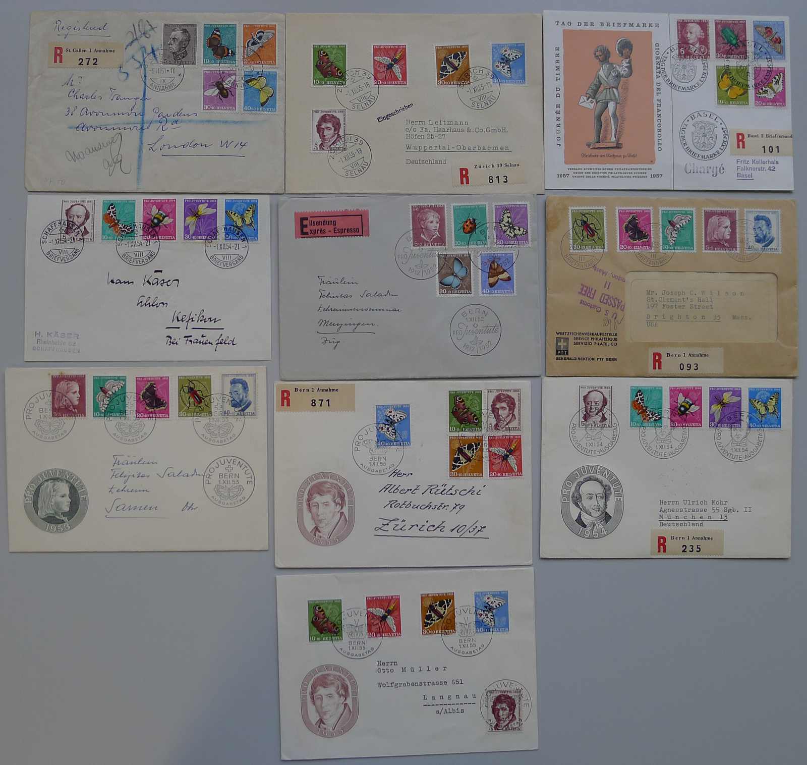 Image 1 for lot number 0004401283 for Luzernerraute Webshop 