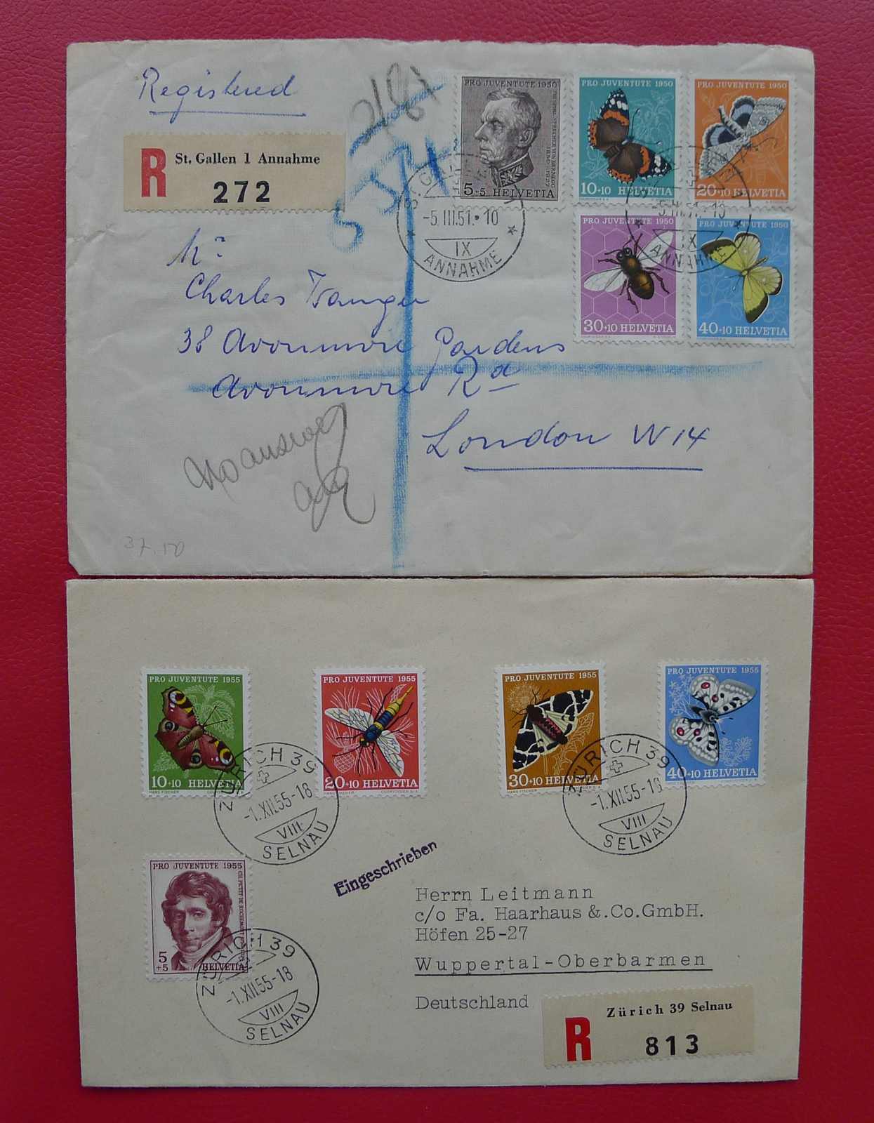 Image 2 for lot number 0004401283 for Luzernerraute Webshop 