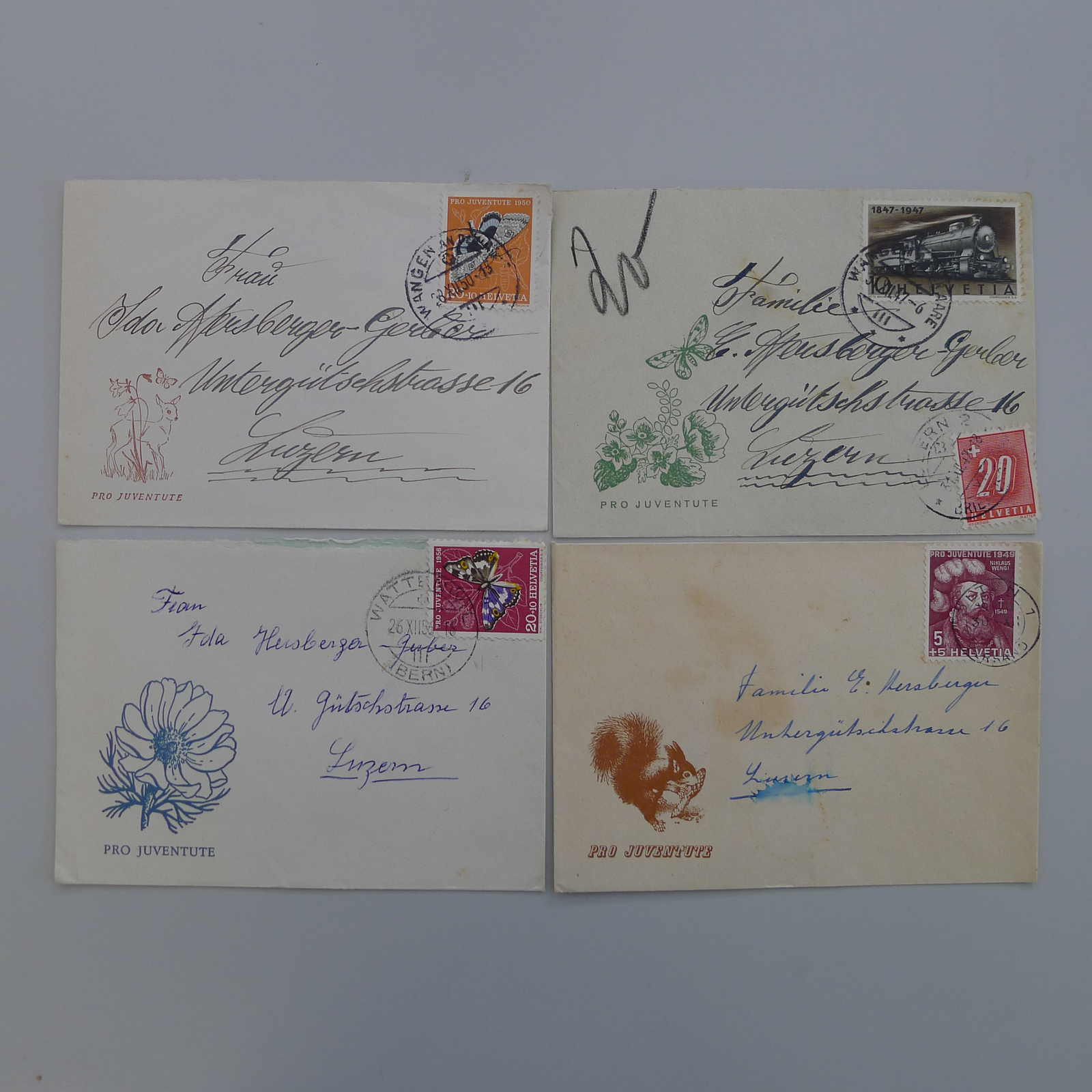 Image 1 for lot number 0004401308 for Luzernerraute Webshop 