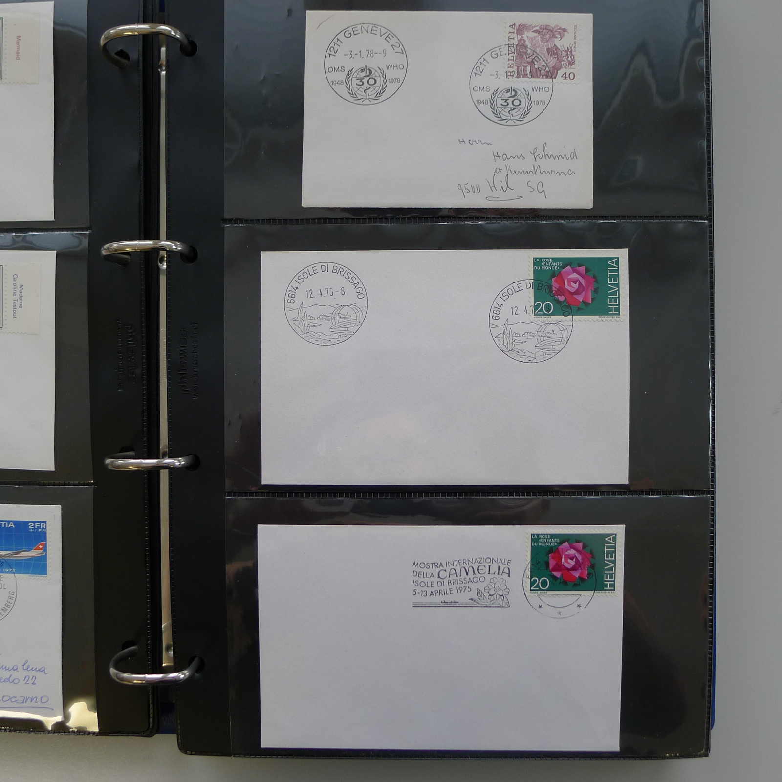 Image 10 for lot number 0004401780 for Luzernerraute Webshop 