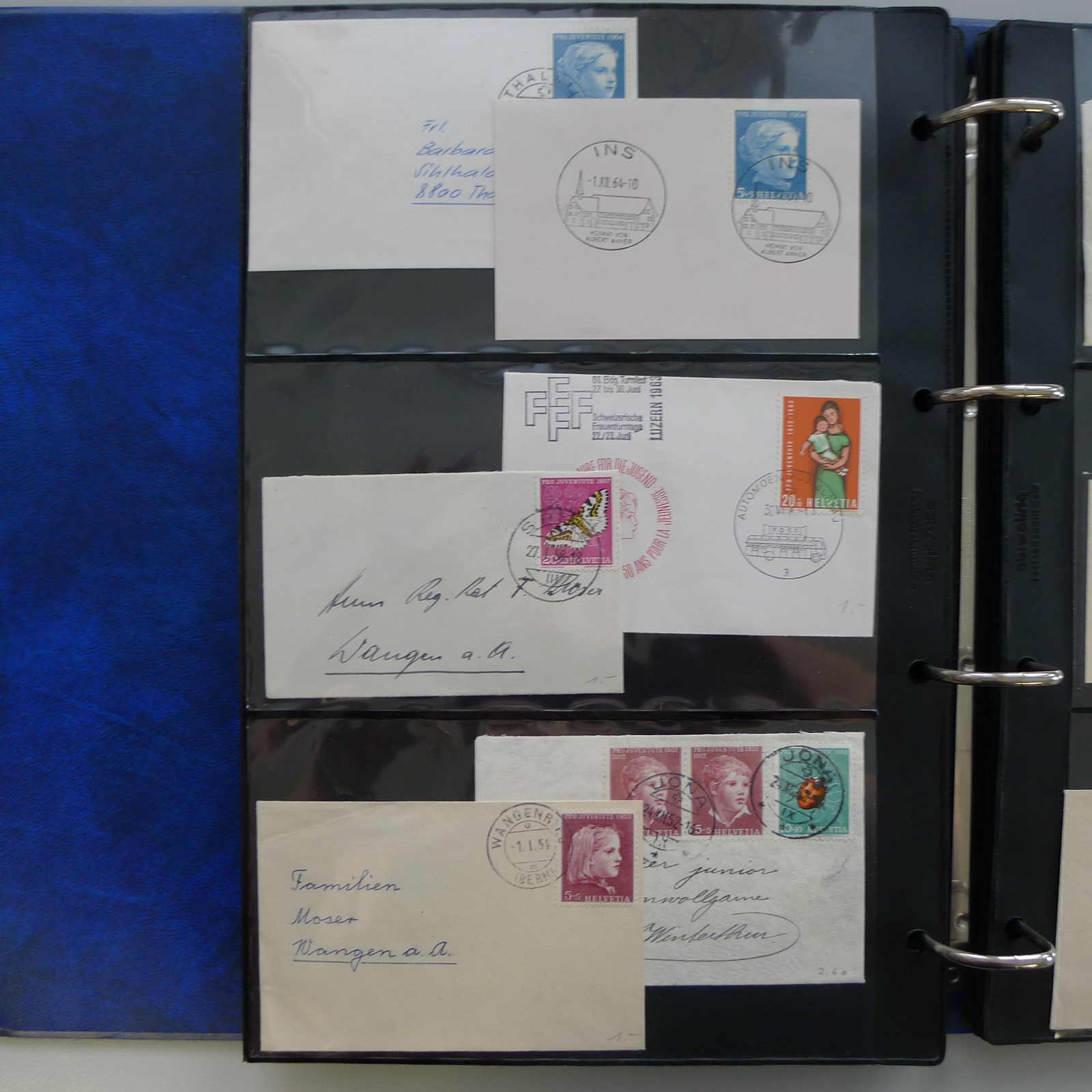 Image 19 for lot number 0004401780 for Luzernerraute Webshop 