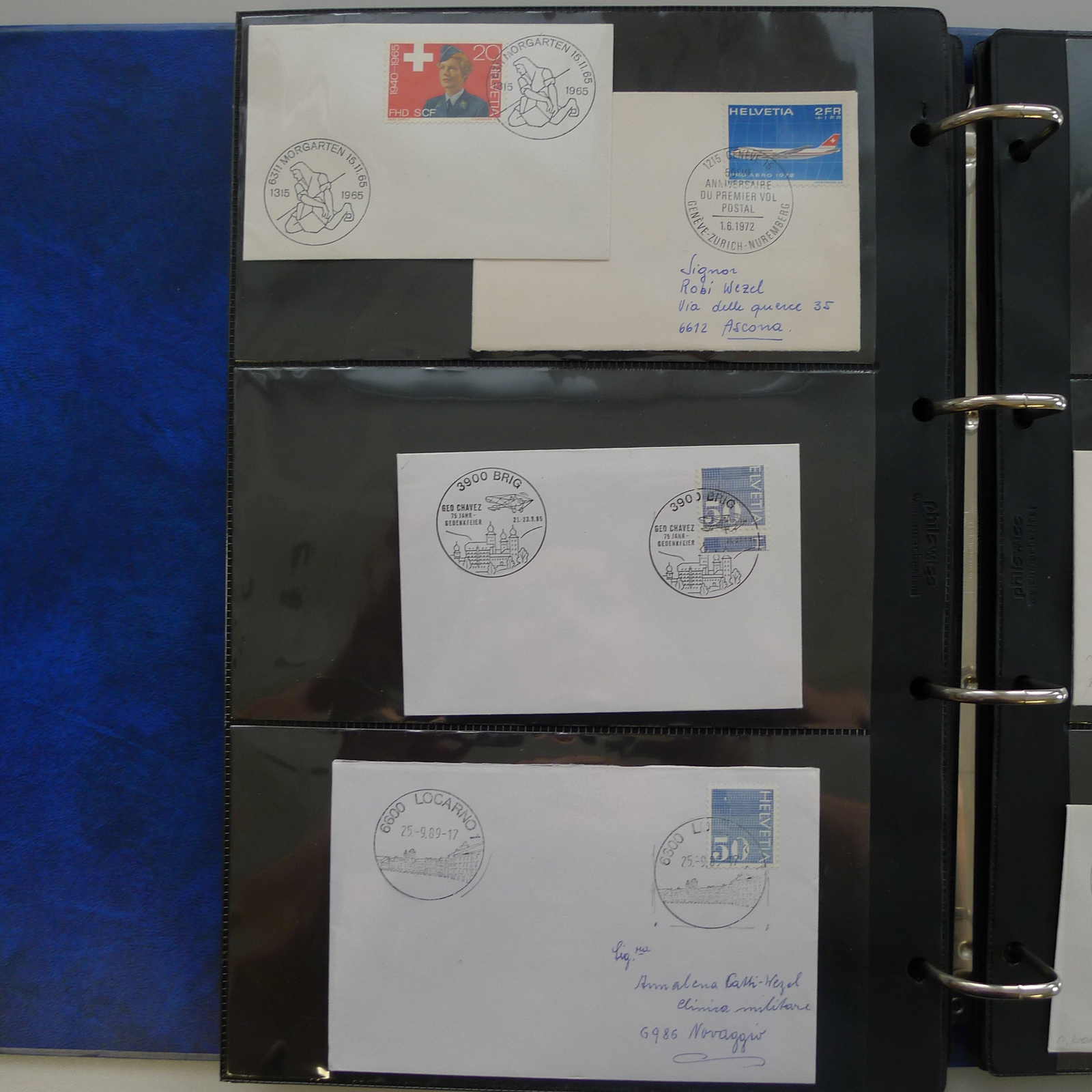 Image 21 for lot number 0004401780 for Luzernerraute Webshop 