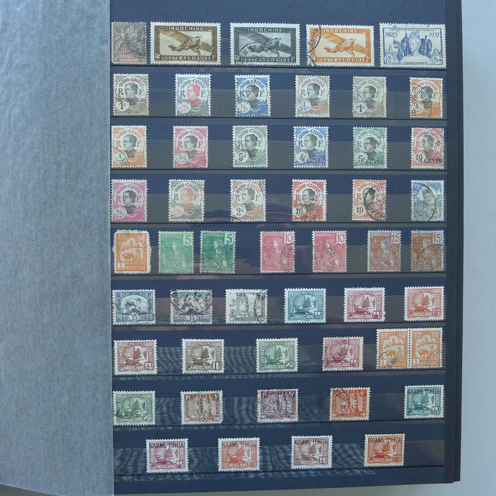 Image 1 for lot number 0004402423 for Luzernerraute Webshop 