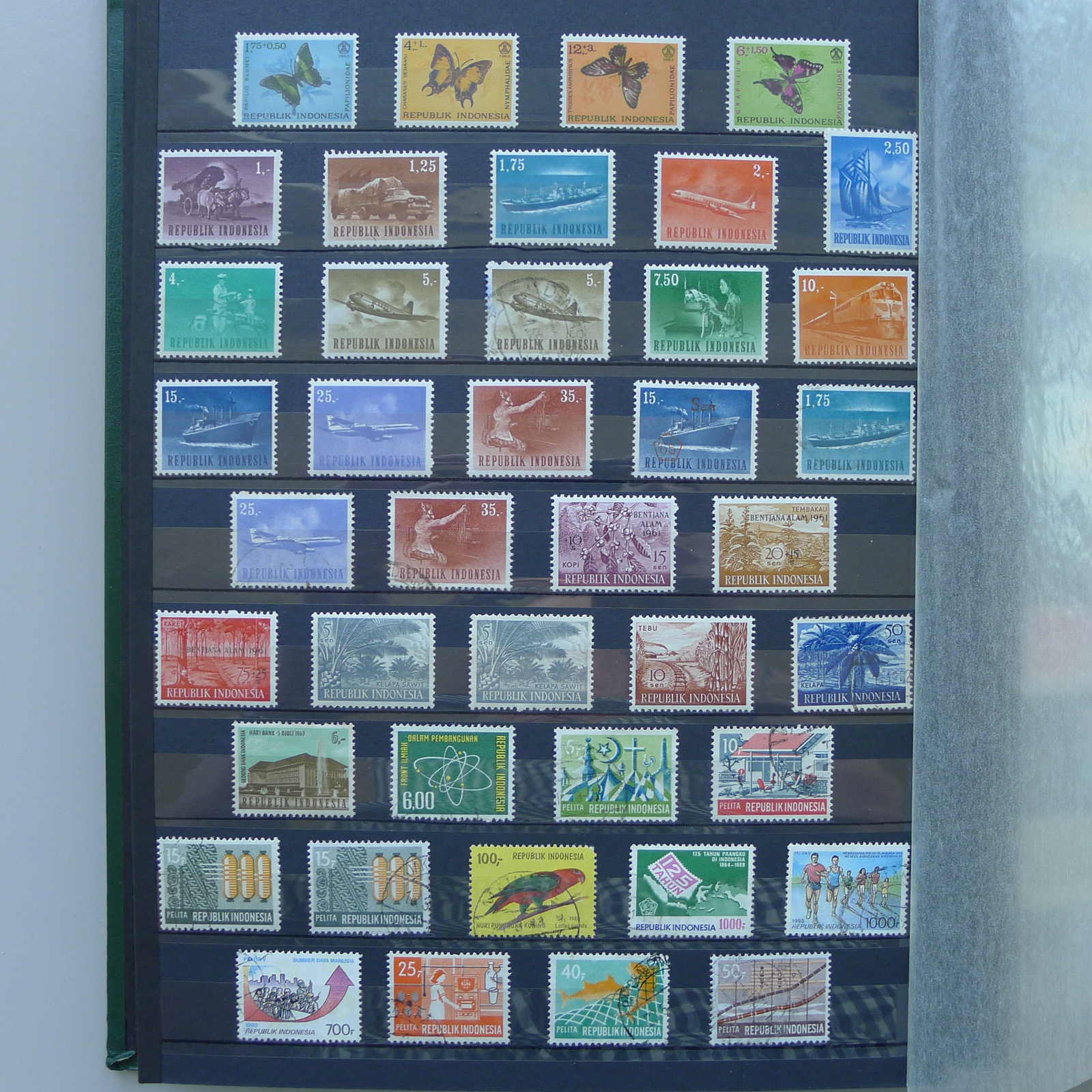 Image 6 for lot number 0004402423 for Luzernerraute Webshop 