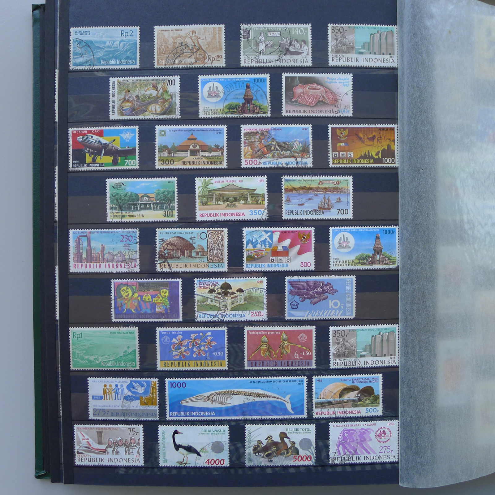 Image 12 for lot number 0004402423 for Luzernerraute Webshop 