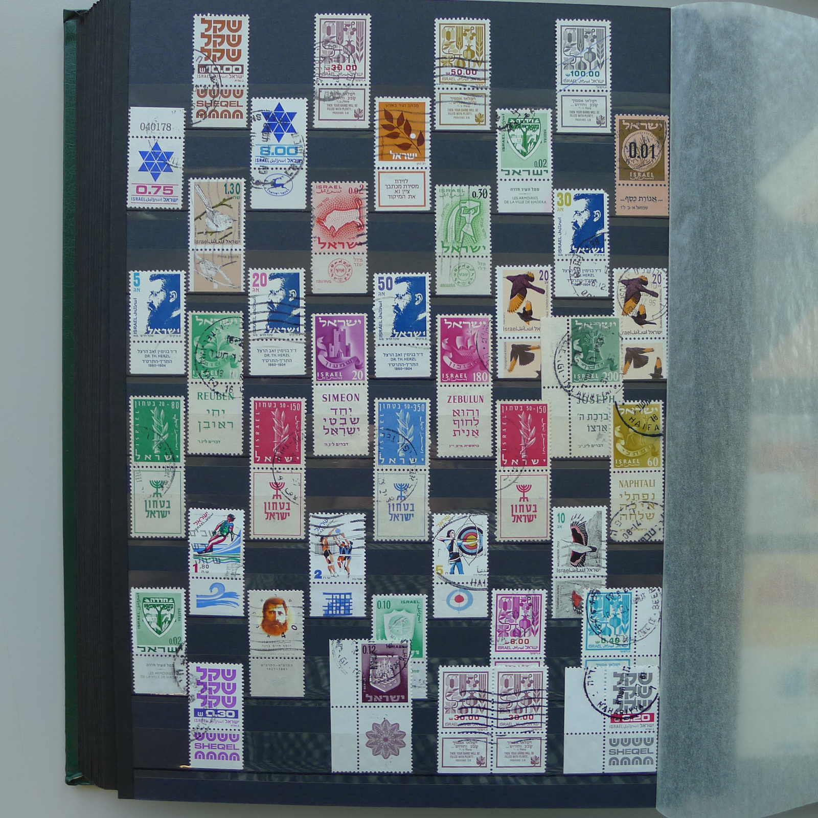 Image 29 for lot number 0004402423 for Luzernerraute Webshop 