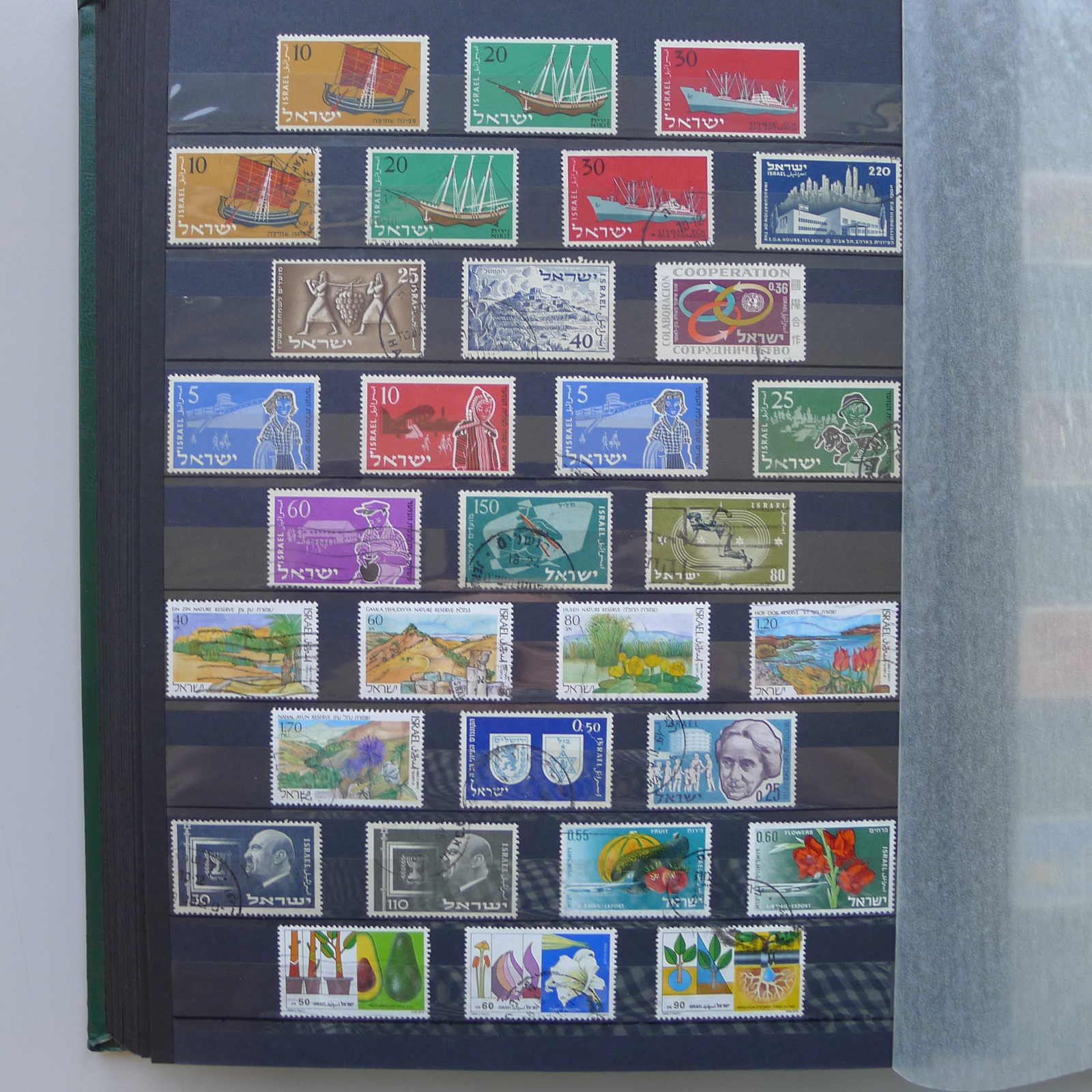 Image 31 for lot number 0004402423 for Luzernerraute Webshop 