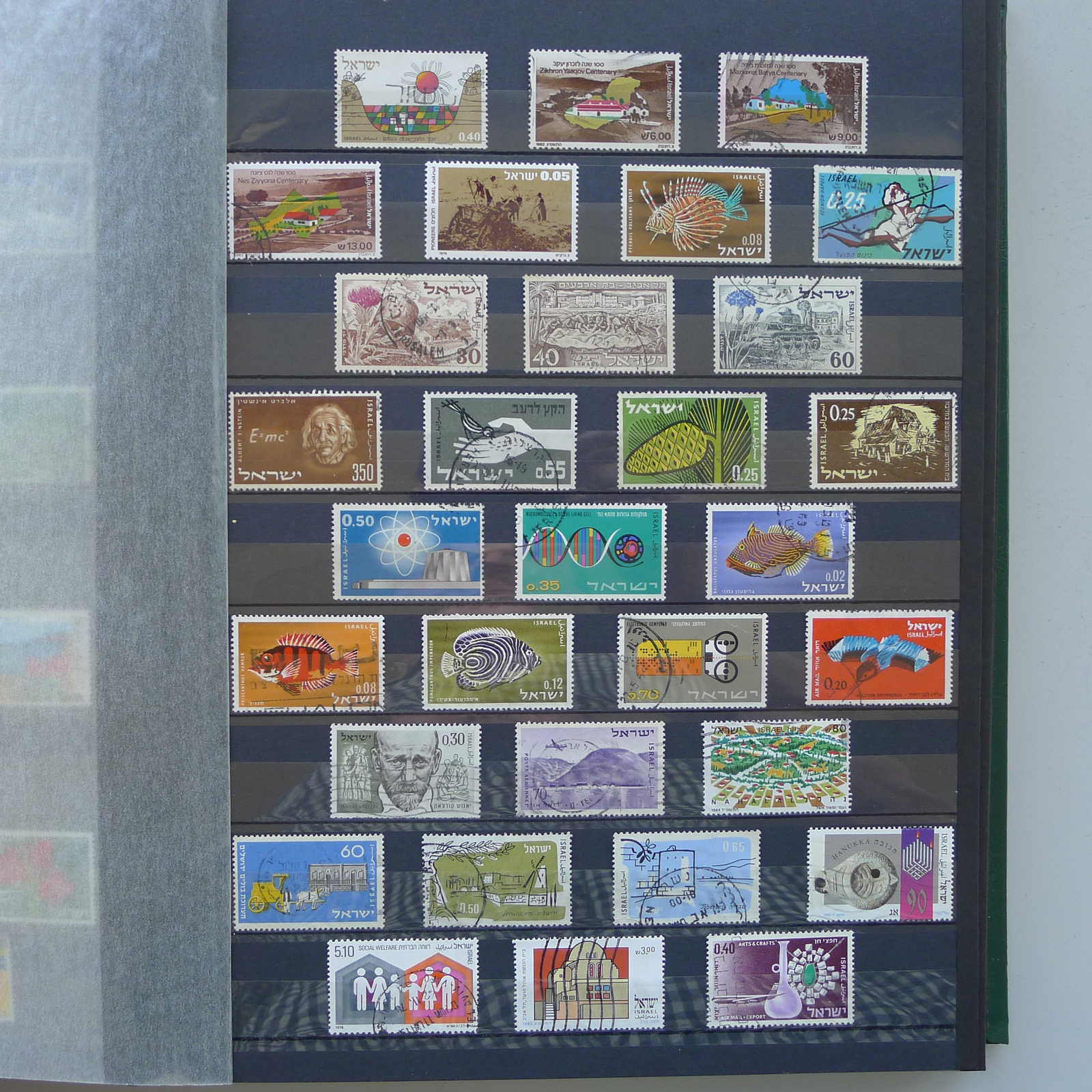 Image 32 for lot number 0004402423 for Luzernerraute Webshop 