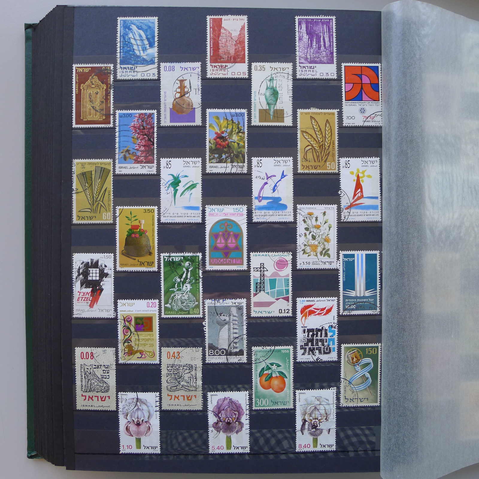 Image 43 for lot number 0004402423 for Luzernerraute Webshop 