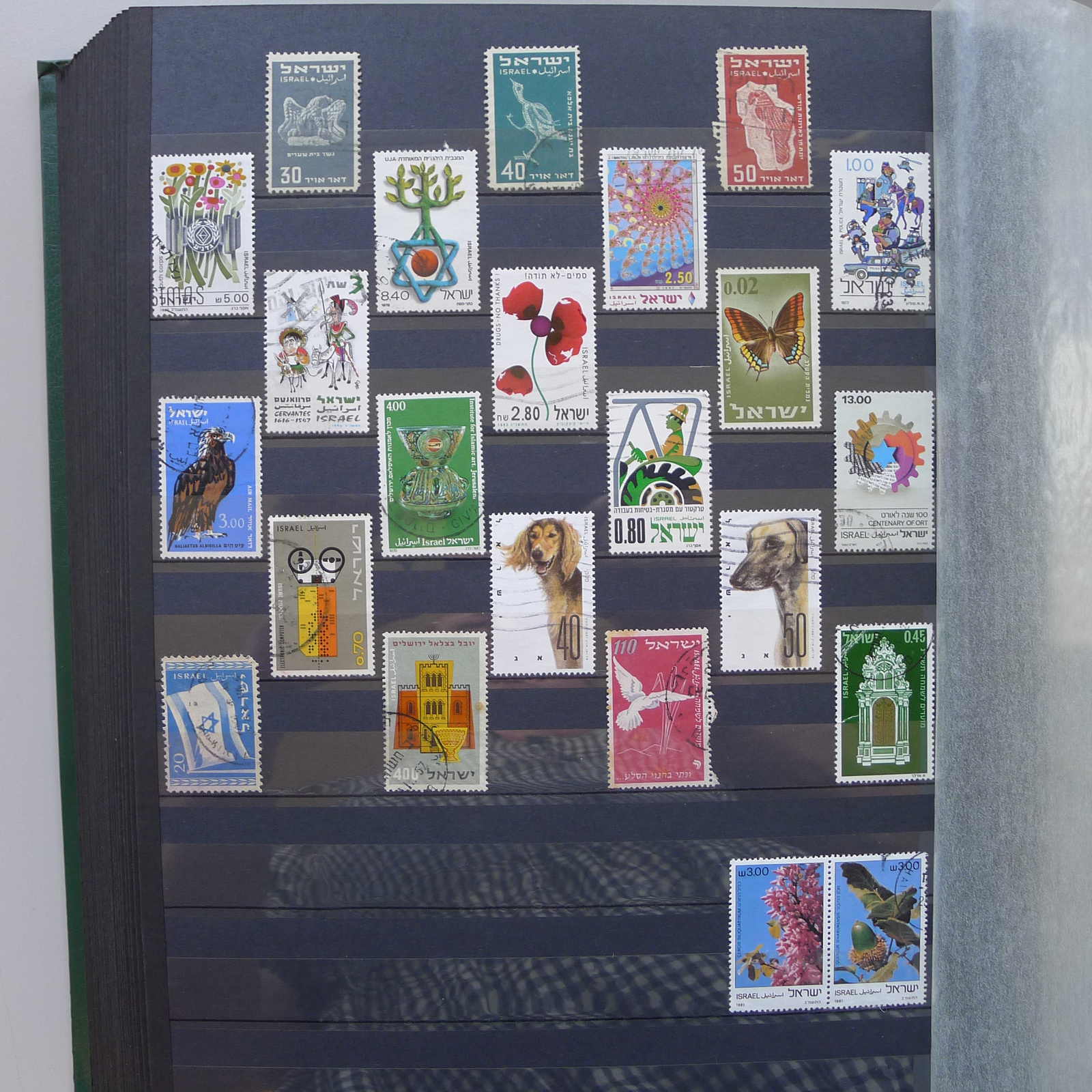 Image 47 for lot number 0004402423 for Luzernerraute Webshop 