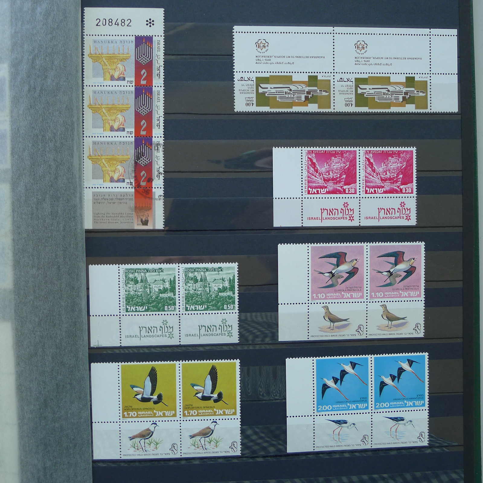 Image 56 for lot number 0004402423 for Luzernerraute Webshop 