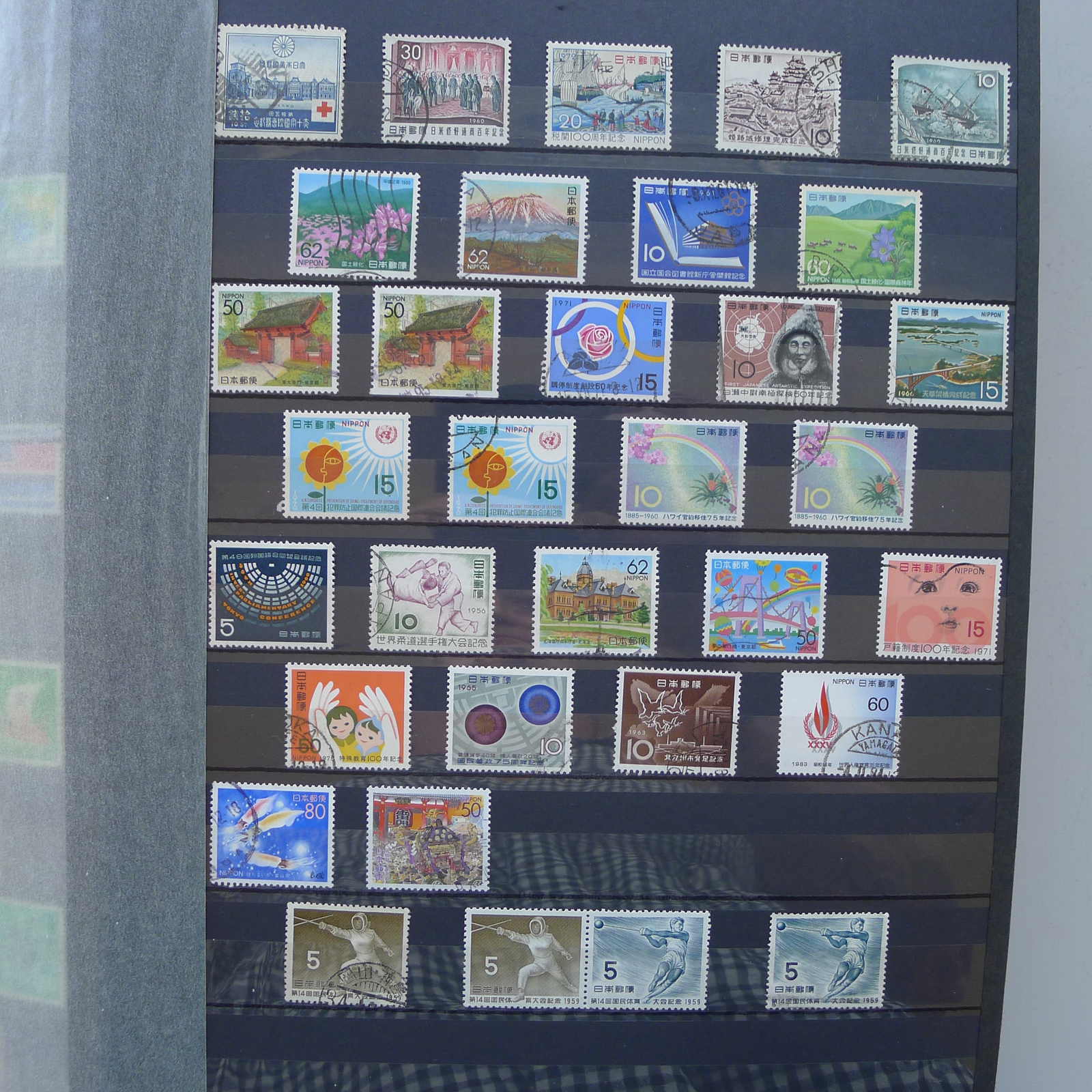 Image 64 for lot number 0004402423 for Luzernerraute Webshop 