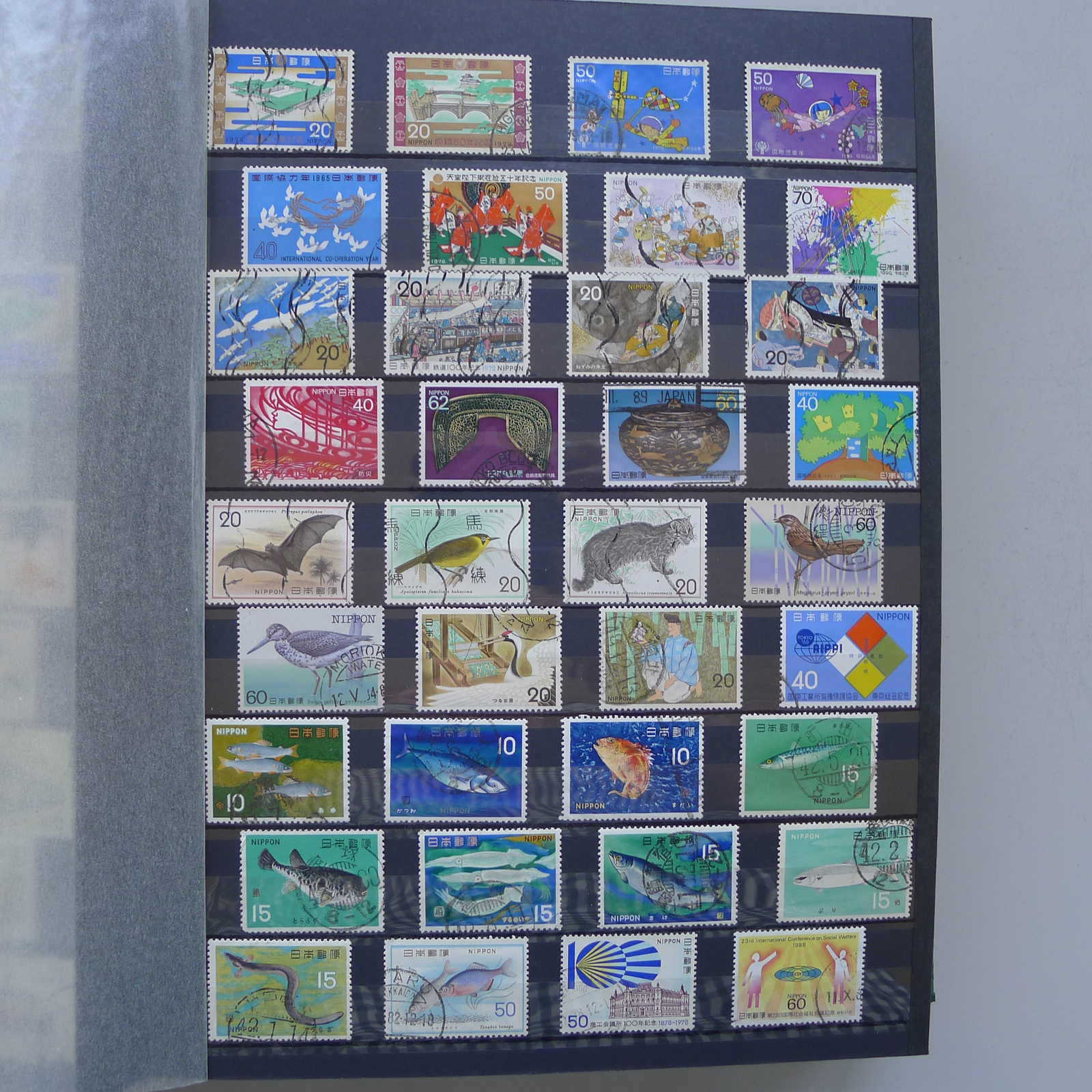 Image 66 for lot number 0004402423 for Luzernerraute Webshop 