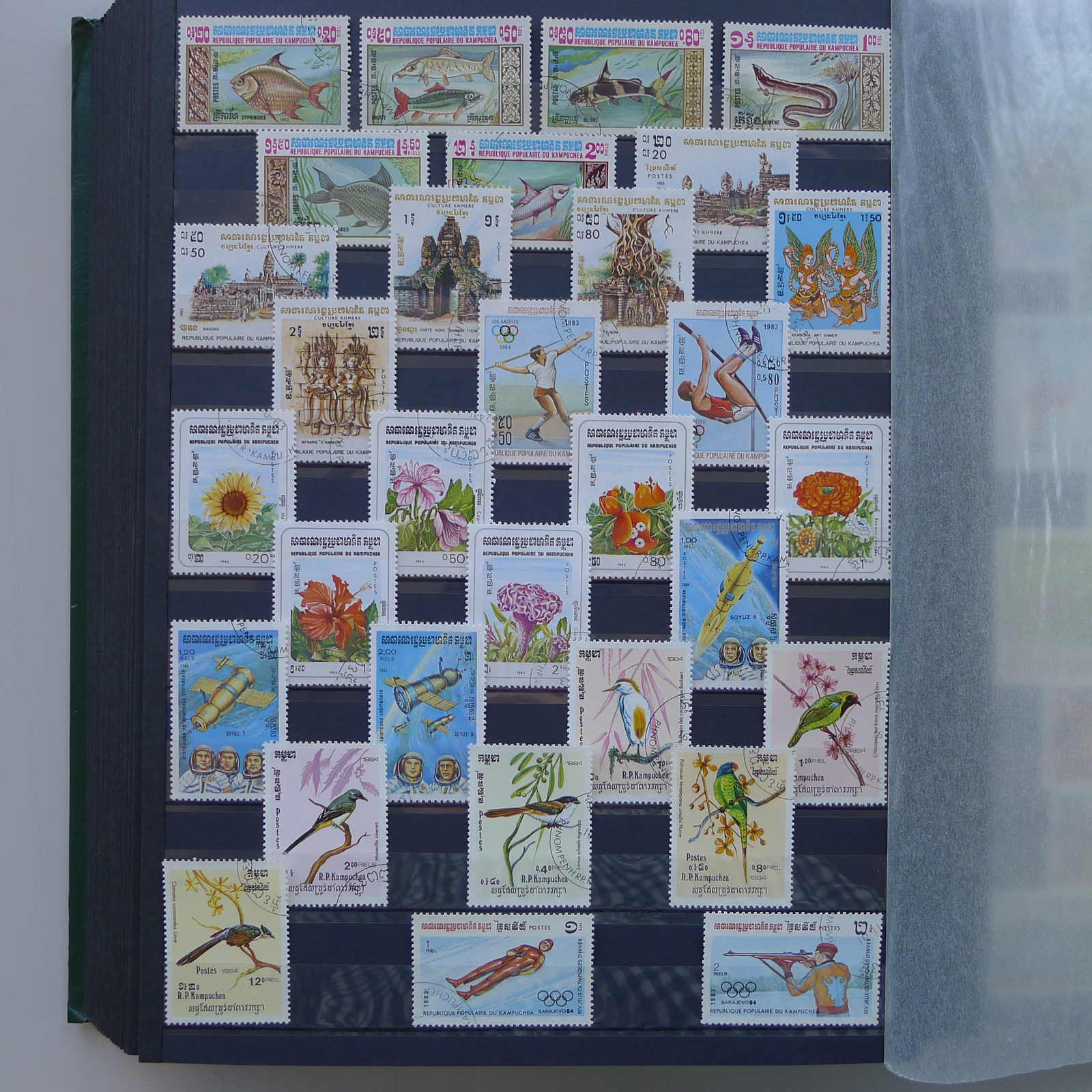 Image 99 for lot number 0004402423 for Luzernerraute Webshop 