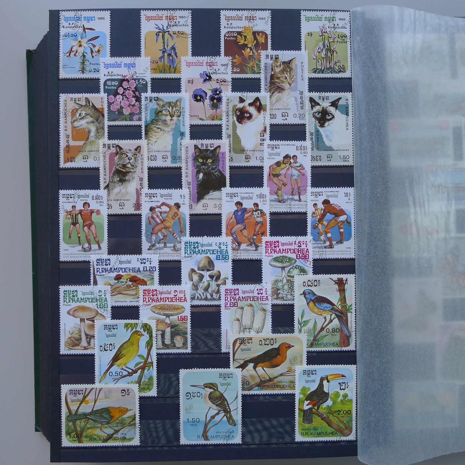 Image 103 for lot number 0004402423 for Luzernerraute Webshop 