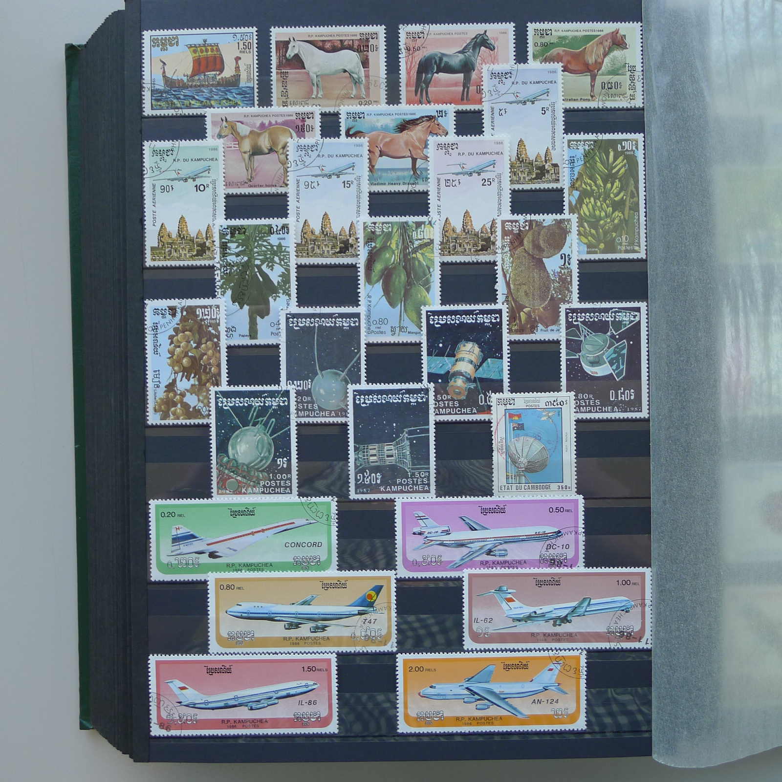 Image 105 for lot number 0004402423 for Luzernerraute Webshop 