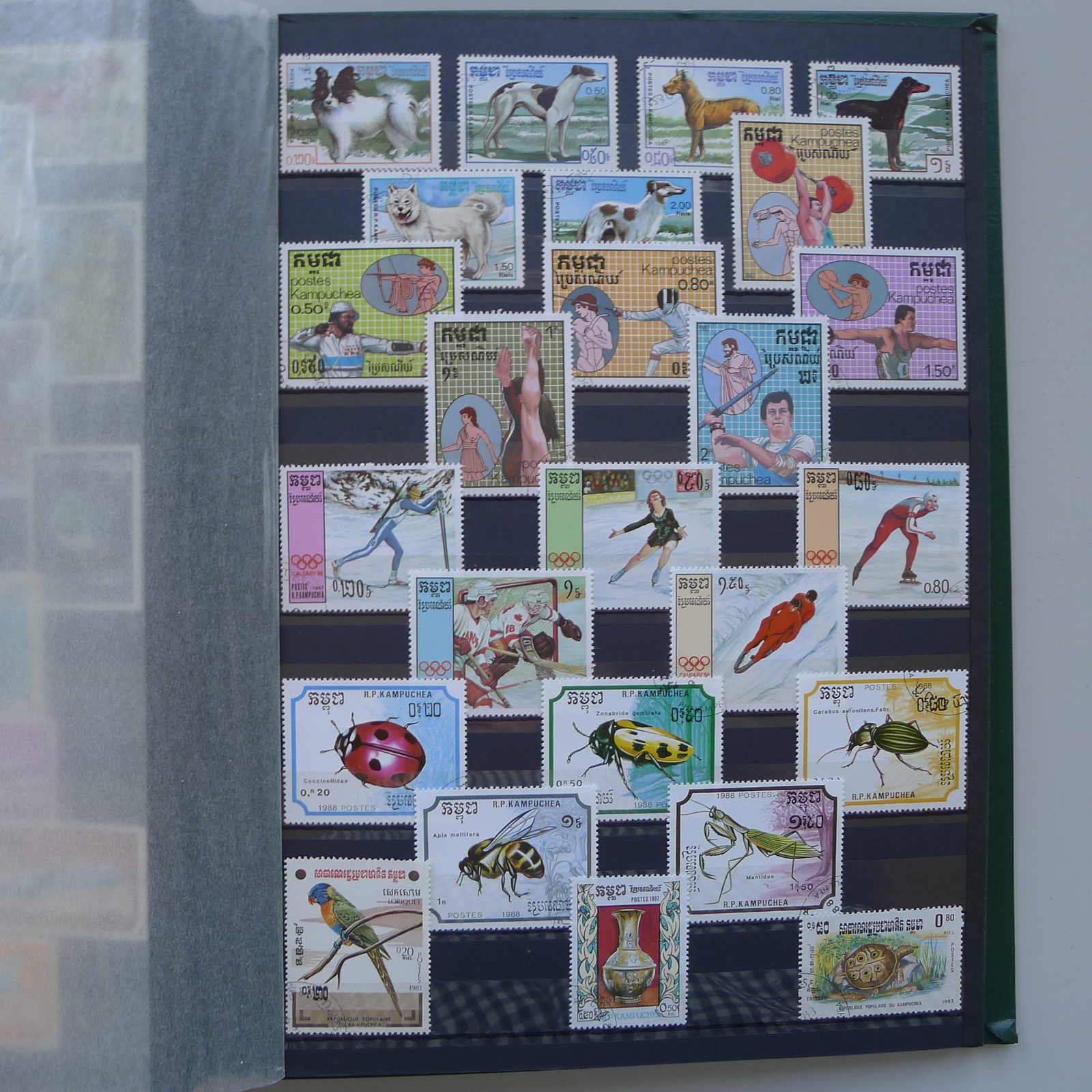 Image 106 for lot number 0004402423 for Luzernerraute Webshop 