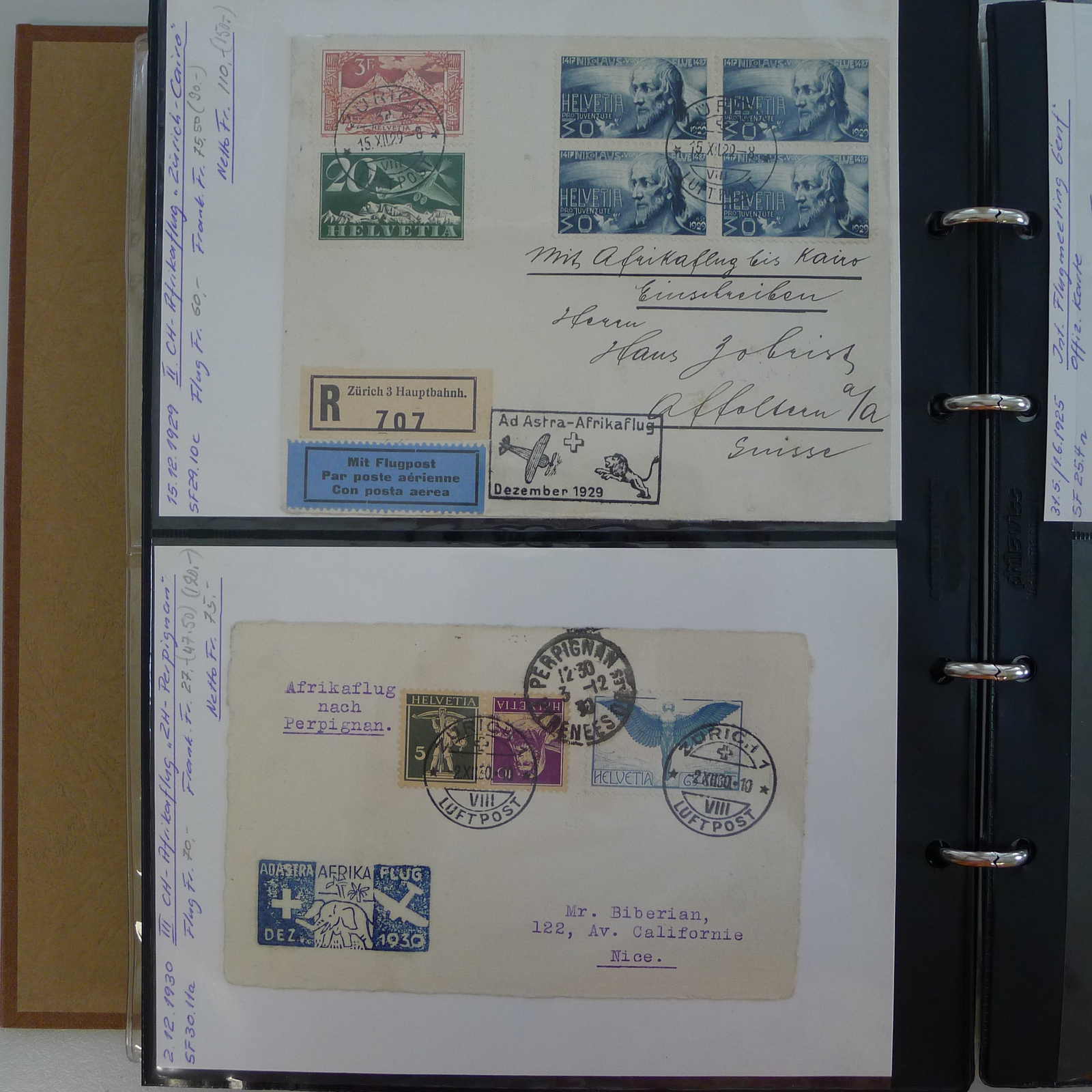 Image 26 for lot number 0004402447 for Luzernerraute Webshop 