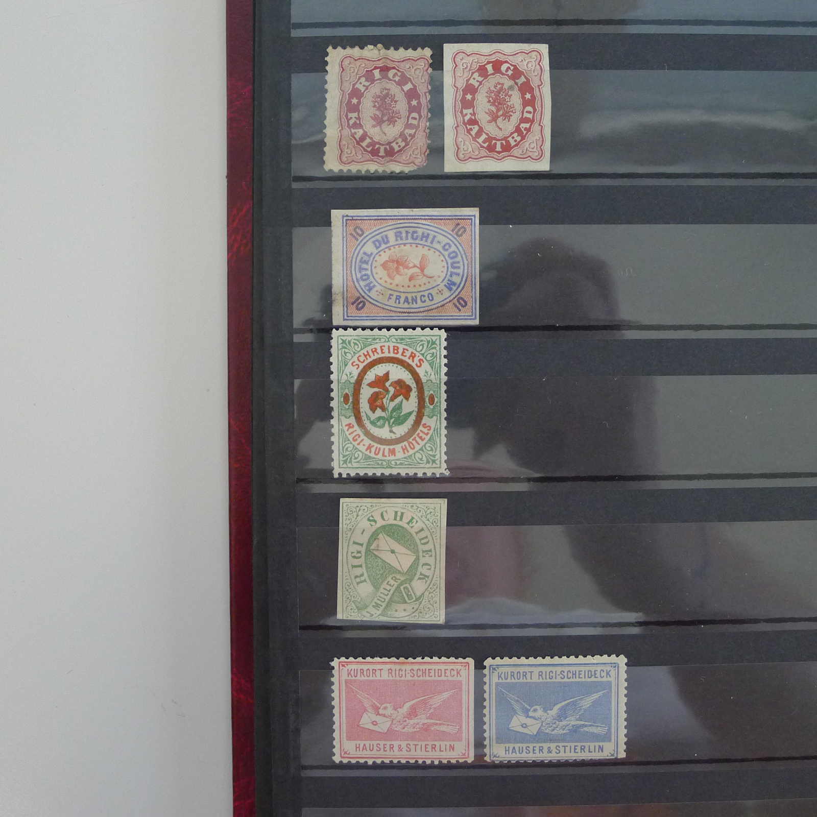 Image 5 for lot number 0004402453 for Luzernerraute Webshop 