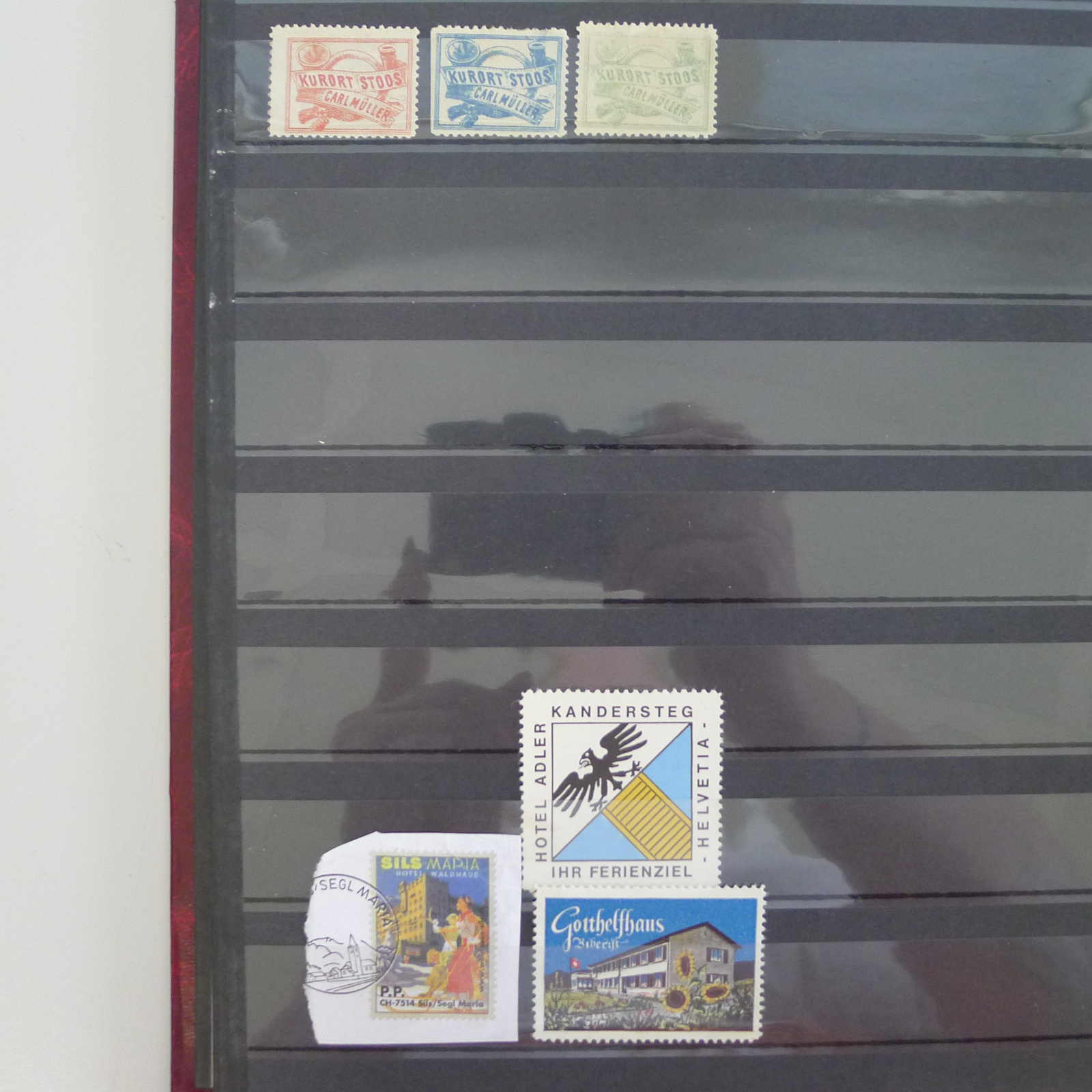 Image 6 for lot number 0004402453 for Luzernerraute Webshop 