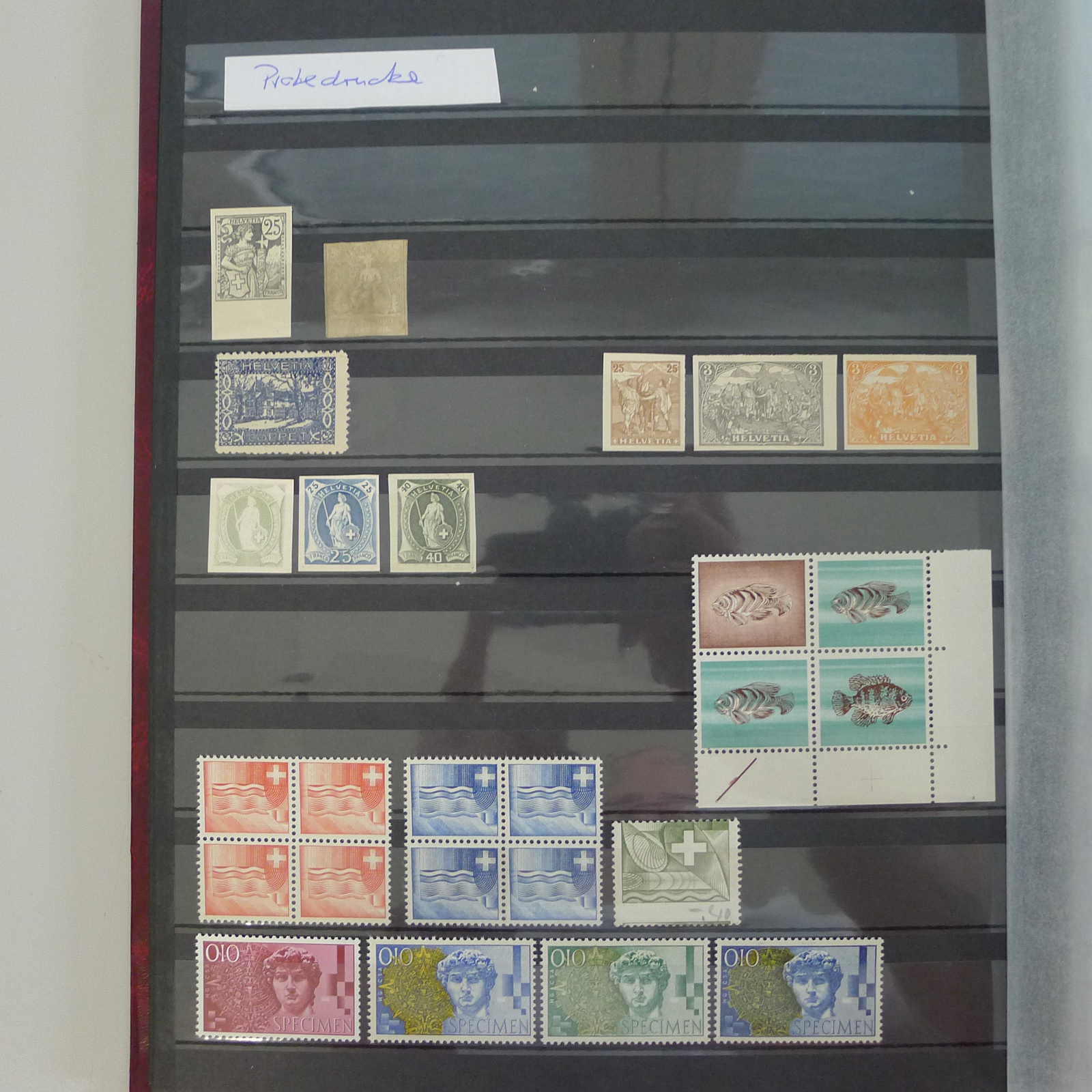 Image 8 for lot number 0004402453 for Luzernerraute Webshop 