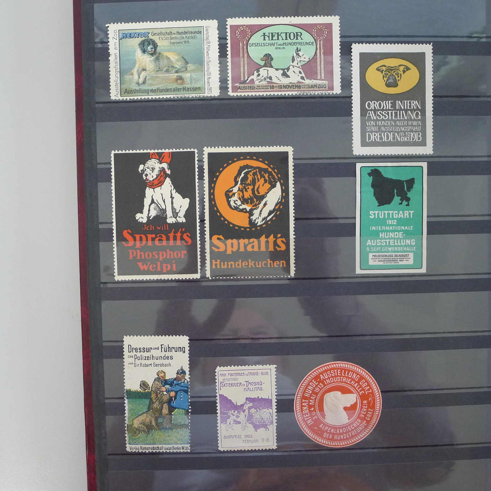 Image 15 for lot number 0004402453 for Luzernerraute Webshop 