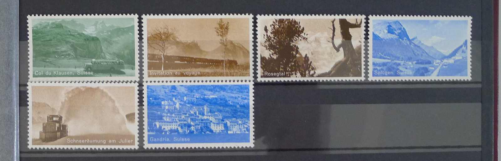 Image 18 for lot number 0004402453 for Luzernerraute Webshop 