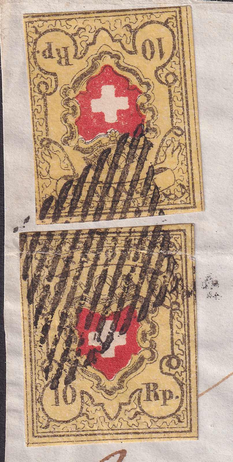 Image 6 for lot number 0004402472 for Luzernerraute Webshop 