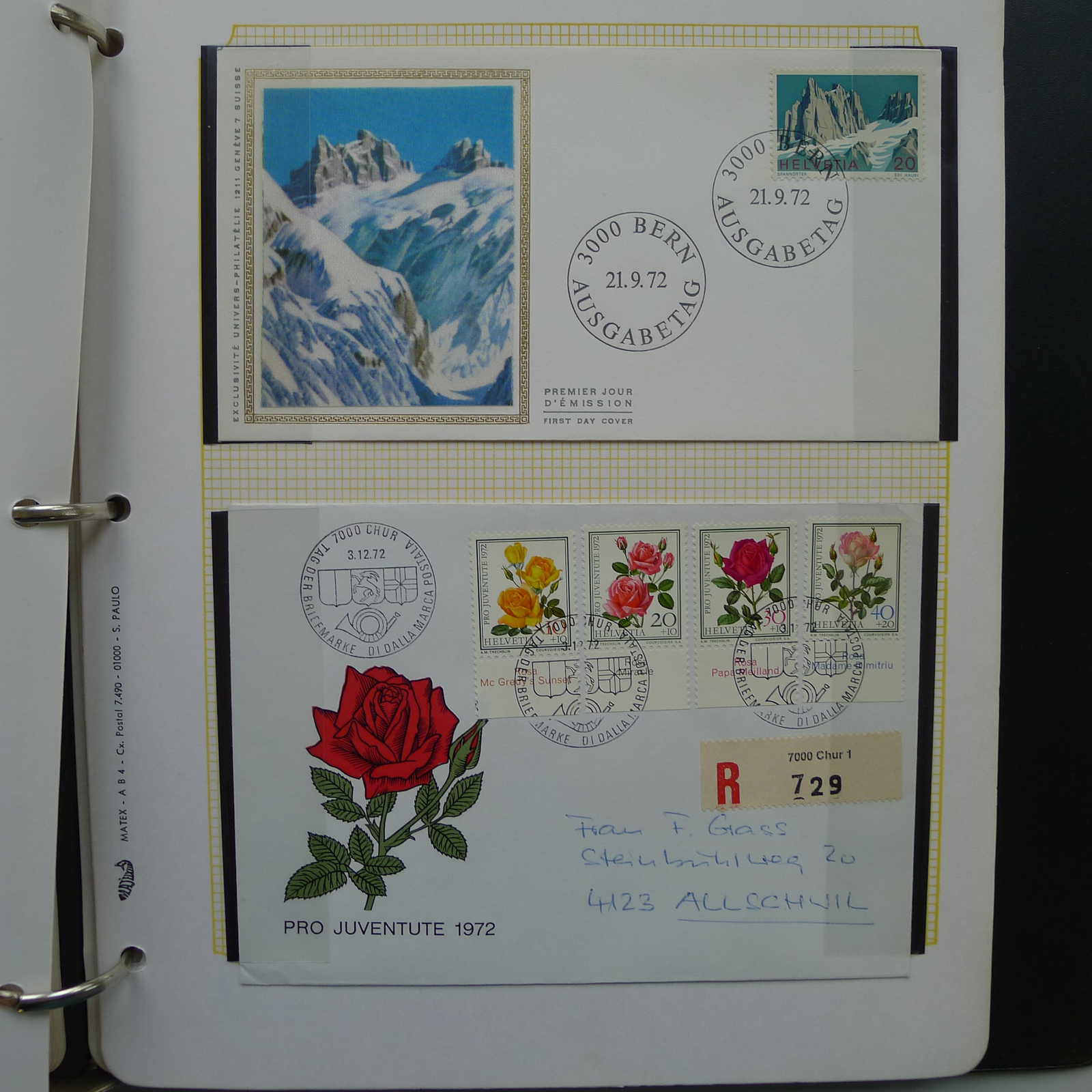 Image 31 for lot number 0004402664 for Luzernerraute Webshop 