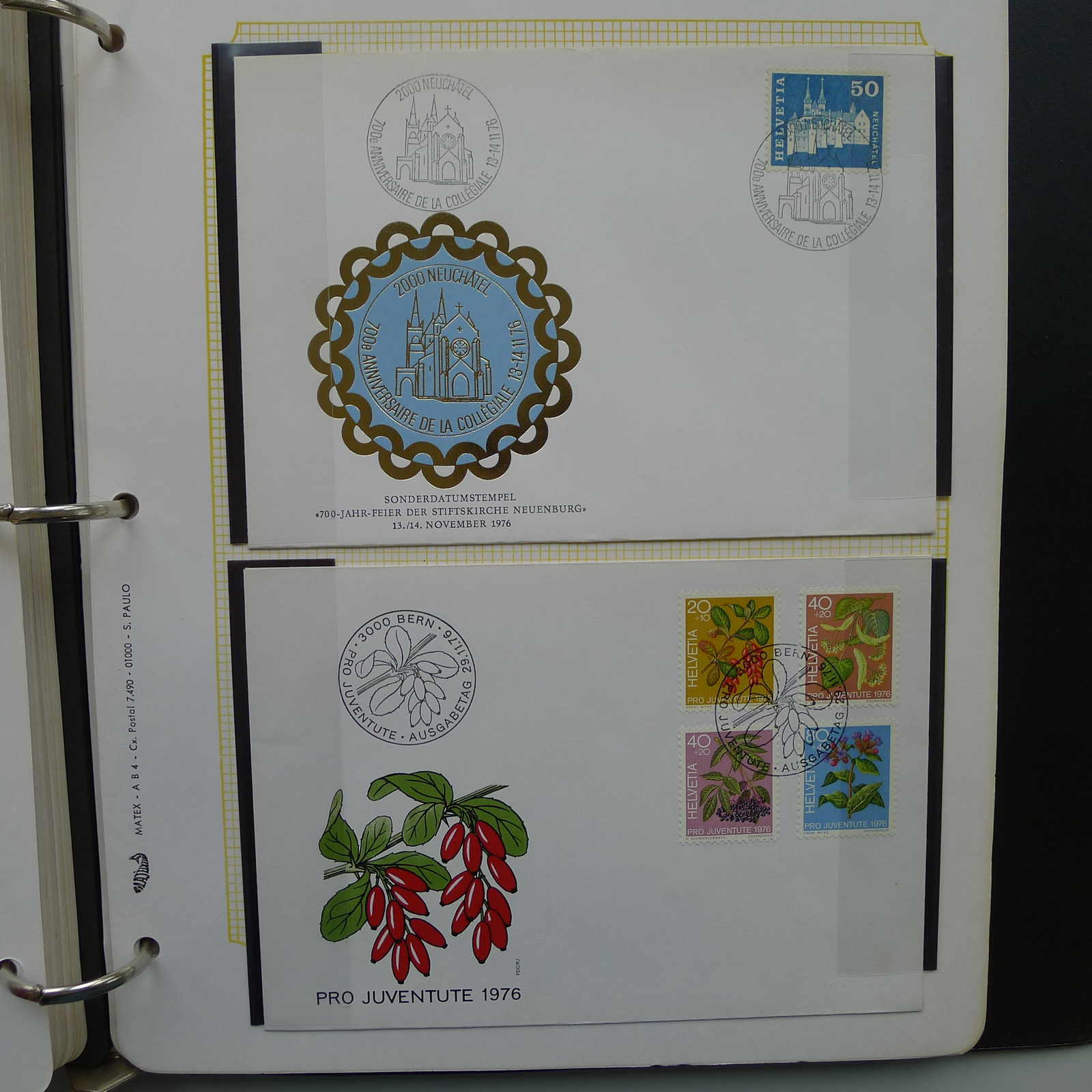 Image 33 for lot number 0004402664 for Luzernerraute Webshop 