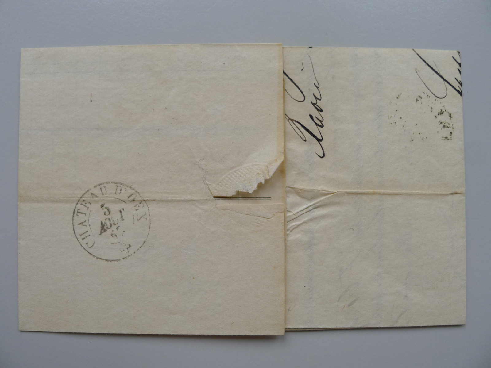 Image 16 for lot number 0004402665 for Luzernerraute Webshop 