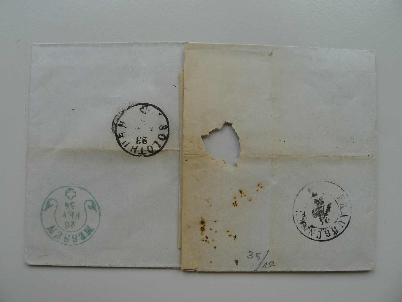 Image 25 for lot number 0004402665 for Luzernerraute Webshop 